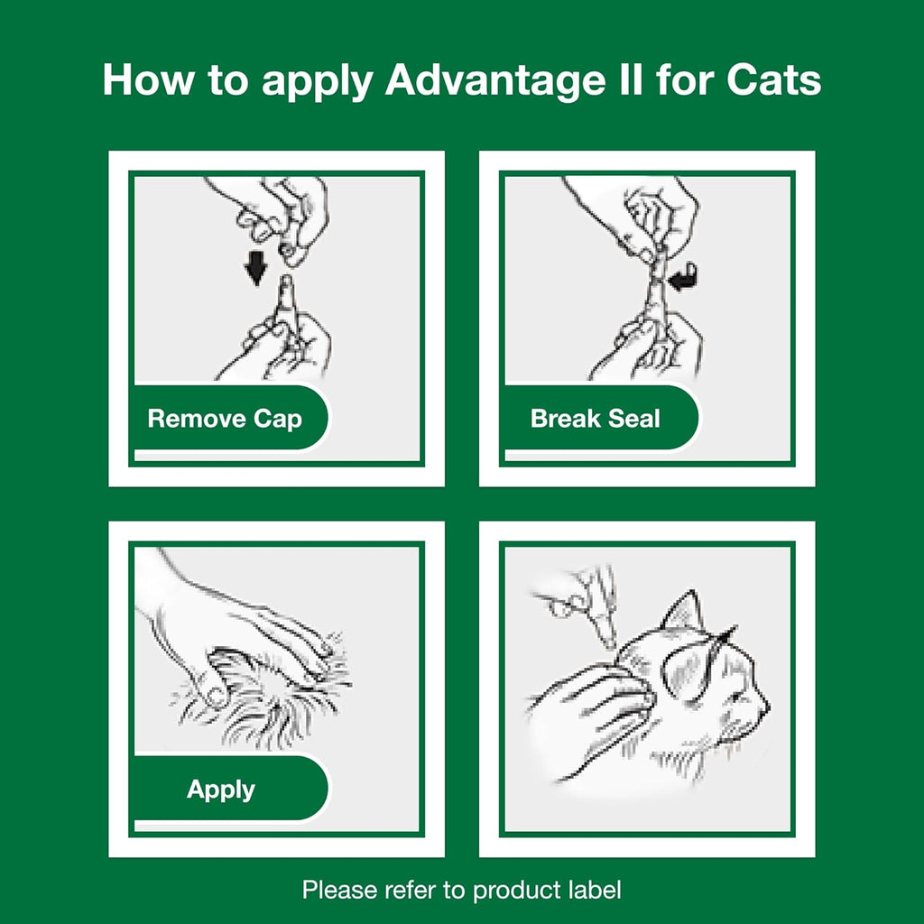 II Large Cat Vet-Recommended Flea Treatment & Prevention | Cats over 9 Lbs. | 6-Month Supply