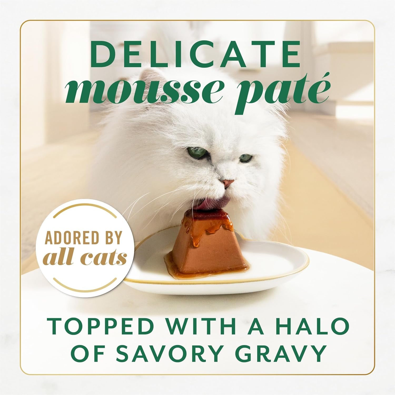 Gems Pate Cat Food Mousse with Chicken and a Halo of Savory Gravy Cat Food - (Pack of 8) 4 Oz. Boxes
