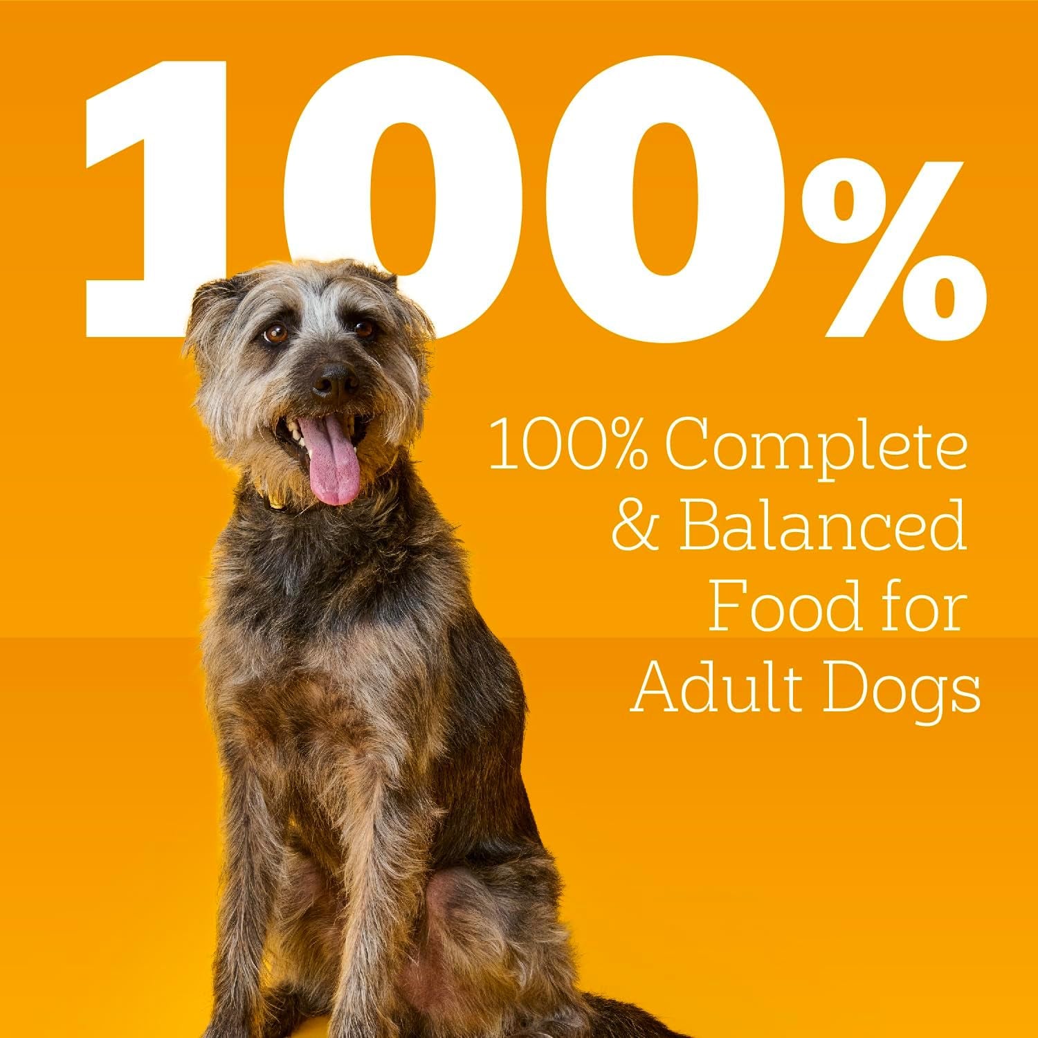 Pedigree Choice Cuts in Gravy Wet Dog Food, Adult Soft Wet Dog Food, Variety Pack, 3.5 Oz. Pouches, 48 Count