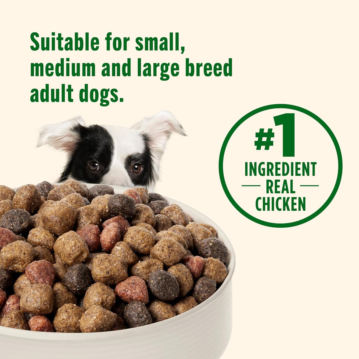 Real Chicken & Veggies Recipe Whole Health Blend Dry Dog Food, 28 Lb. Bag, Packaging May Vary (Rachael Ray)