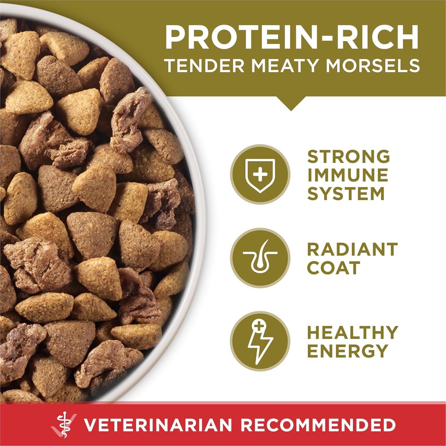 Dry Dog Food Lamb and Rice Formula - 31.1 Lb. Bag