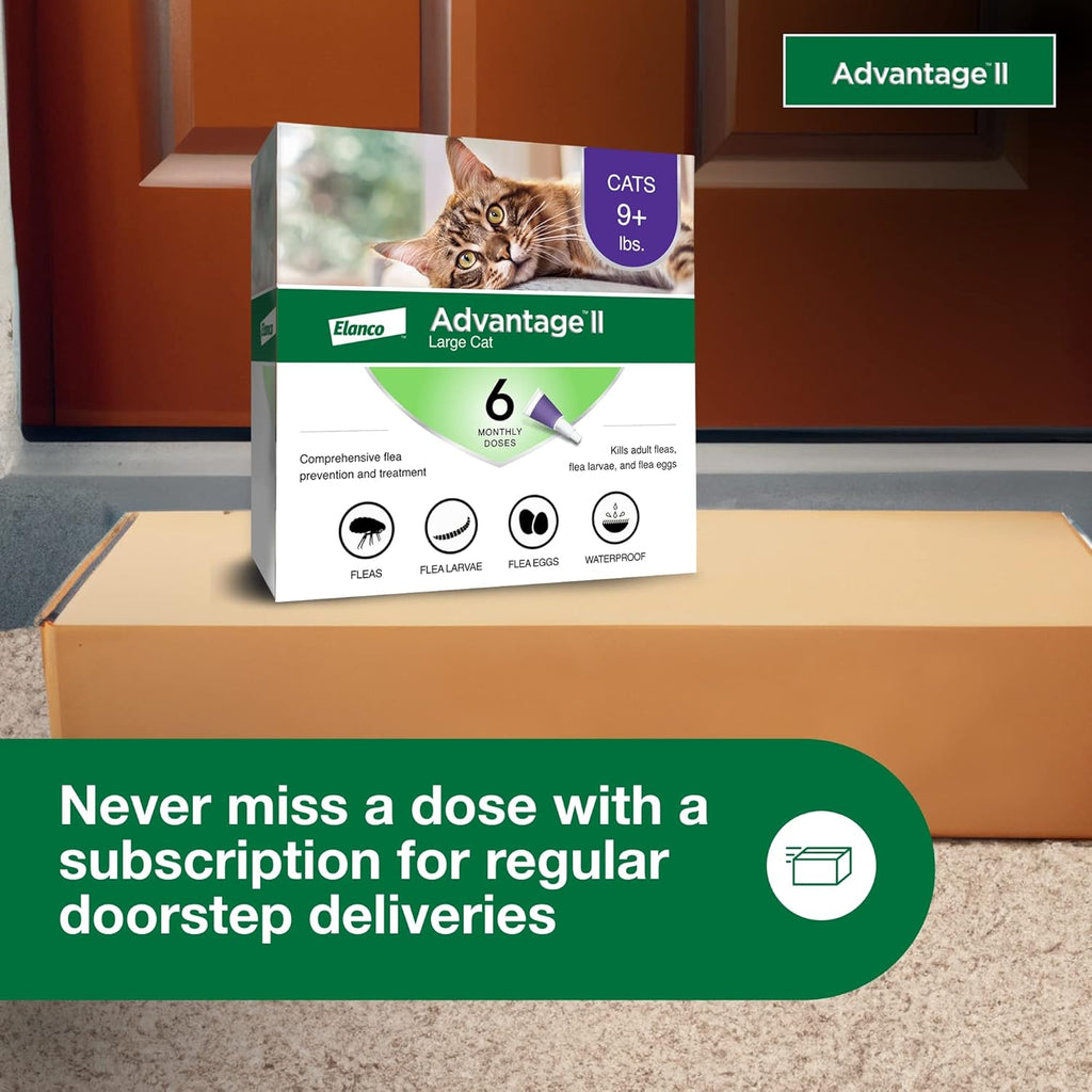 II Large Cat Vet-Recommended Flea Treatment & Prevention | Cats over 9 Lbs. | 6-Month Supply