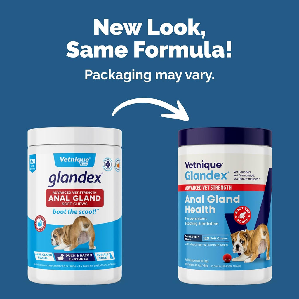 Glandex Anal Gland Soft Chew Treats with Pumpkin for Dogs Digestive Enzymes, Probiotics Fiber Supplement for Dogs Boot the Scoot (Advanced Strength Duck/Bacon Chews (Vegetarian), 120 Ct)