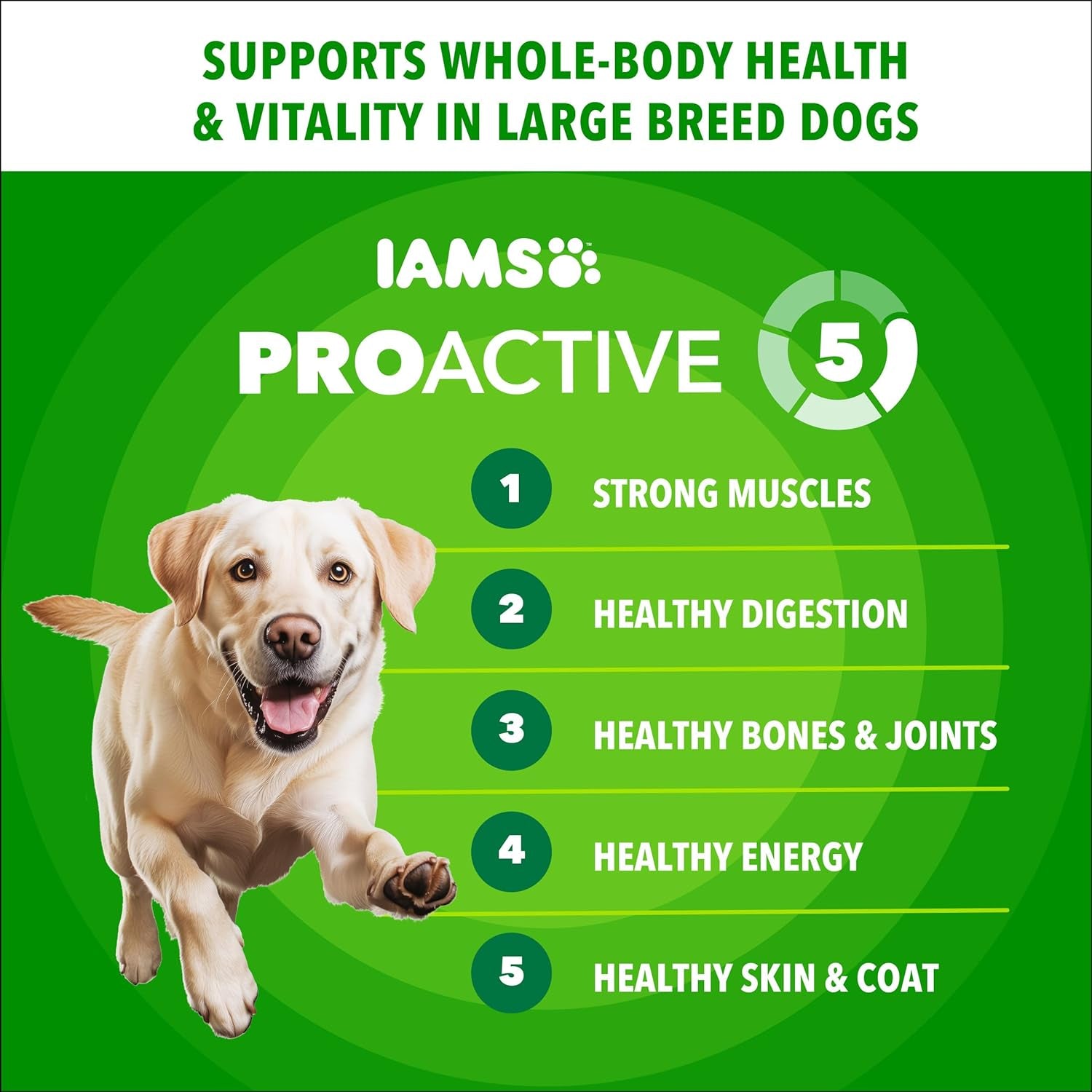 Proactive Health Large Breed Dry Dog Food, Adult Dry Dog Food for Large Breeds, Chicken, 30 Lb. Bag