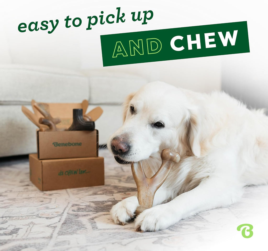 Medium 4-Pack Dog Toys for Aggressive Chewers – Durable Dog Bones, Made in USA – Dog Toys for Medium Dogs under 60 Lbs