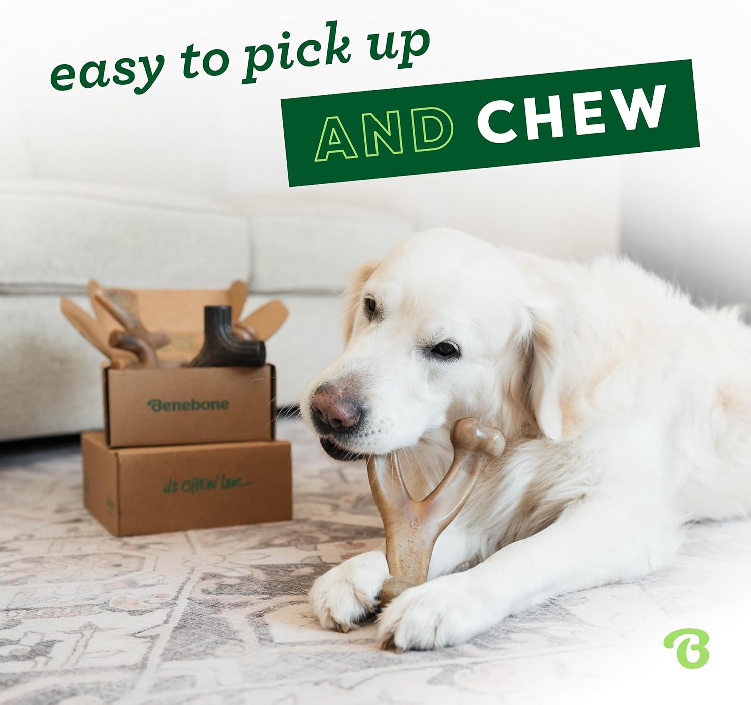 Medium 4-Pack Dog Toys for Aggressive Chewers – Durable Dog Bones, Made in USA – Dog Toys for Medium Dogs under 60 Lbs