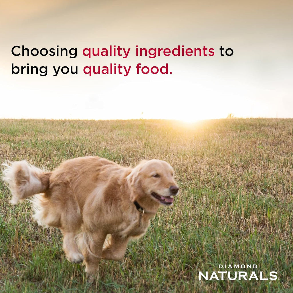 Large Breed Adult Dry Dog Food Chicken and Rice Formula with Protein from Real Chicken, Probiotics and Essential Nutrients to Support Balanced and Overall Health in Adult Dogs 40Lb