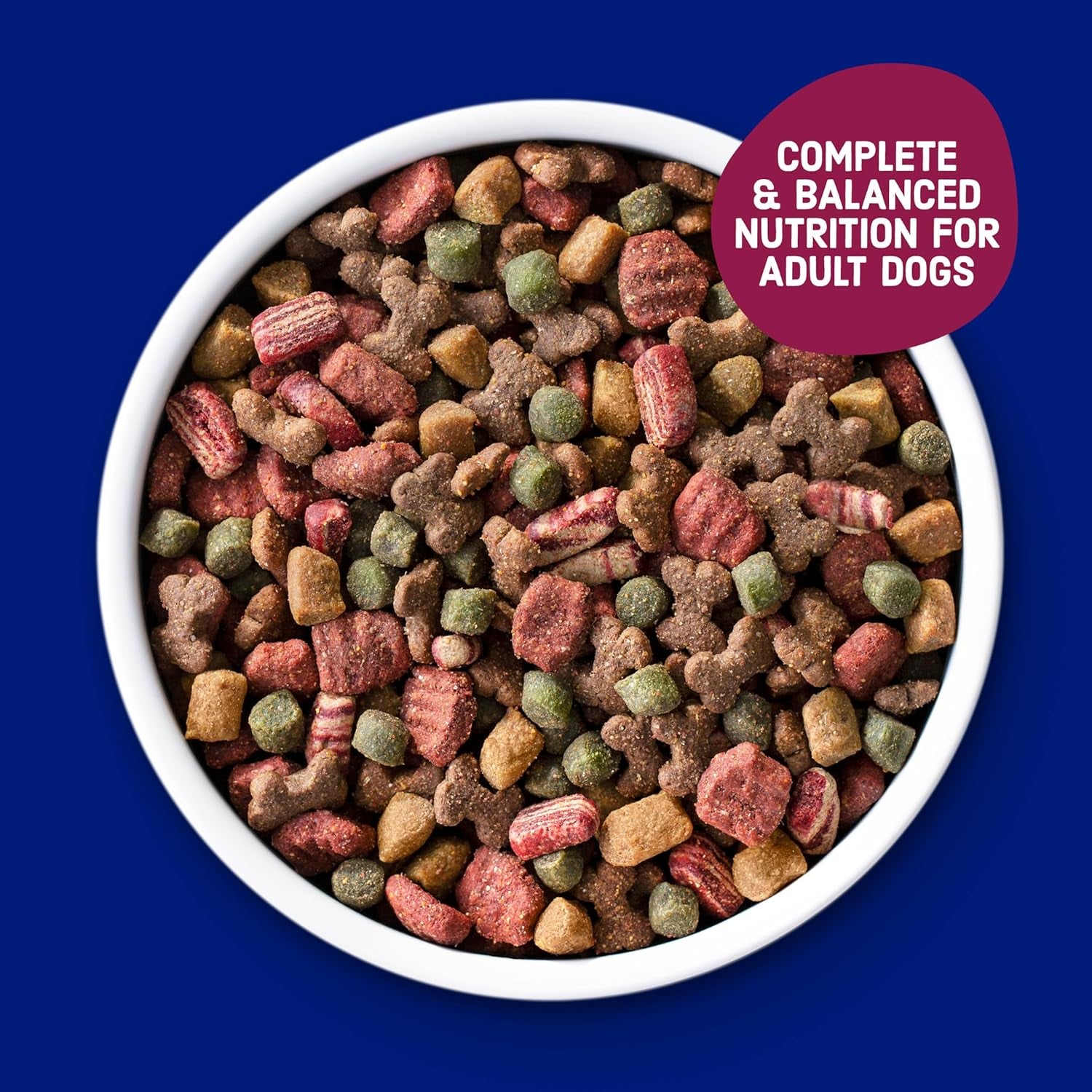 Dry Dog Food, Savory Bacon & Steak Flavor for Adult Dogs 16 Lb. Bag