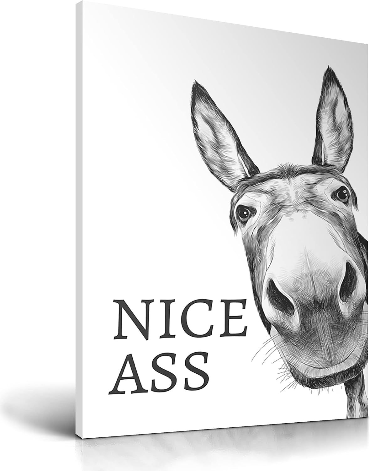 Funny Bathroom Wall Art Decor, Black and White Donkey Wall Art, Waterproof Wood Framed Canvas Wall Art Animals Abstract Prints, 12X16In High-End Pictures for Dormitory Kids Room 1 Pack