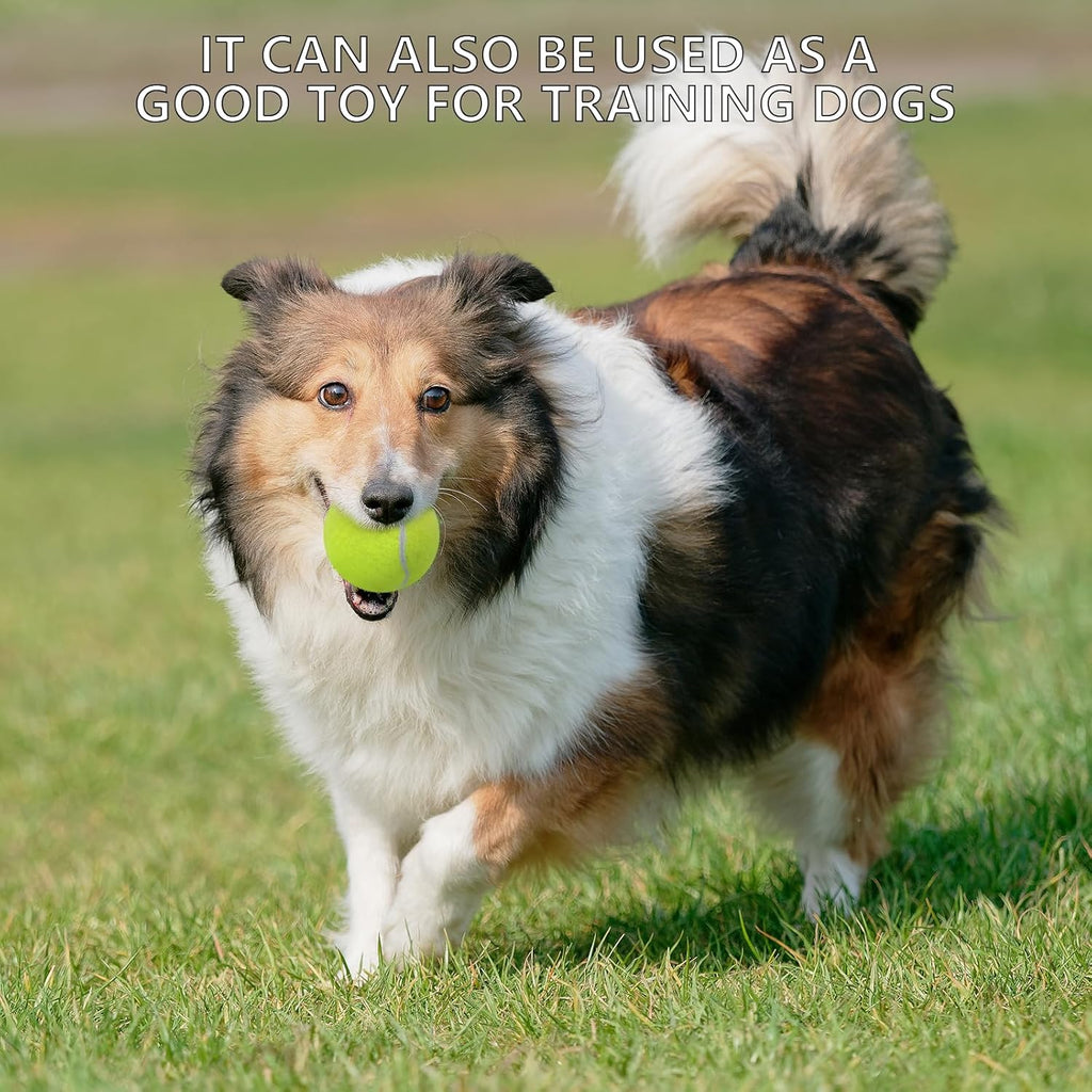 Tennis Balls, 20 Pack Training Tennis Balls,High Elasticity Practice Tennis for Beginner, Exercise Playing Balls for Pet Dog