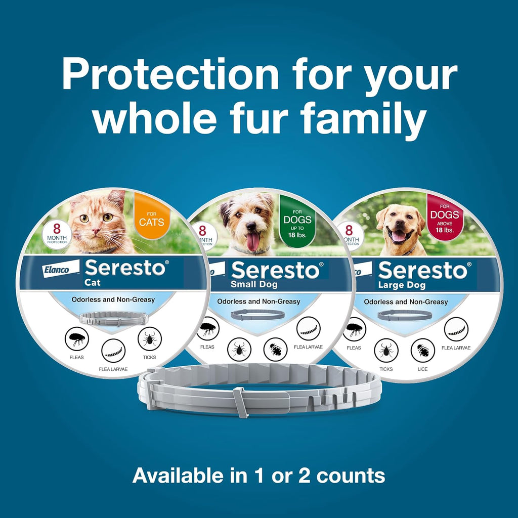 Seresto Cat Vet-Recommended Flea & Tick Treatment & Prevention Collar for Cats | 8 Months Protection