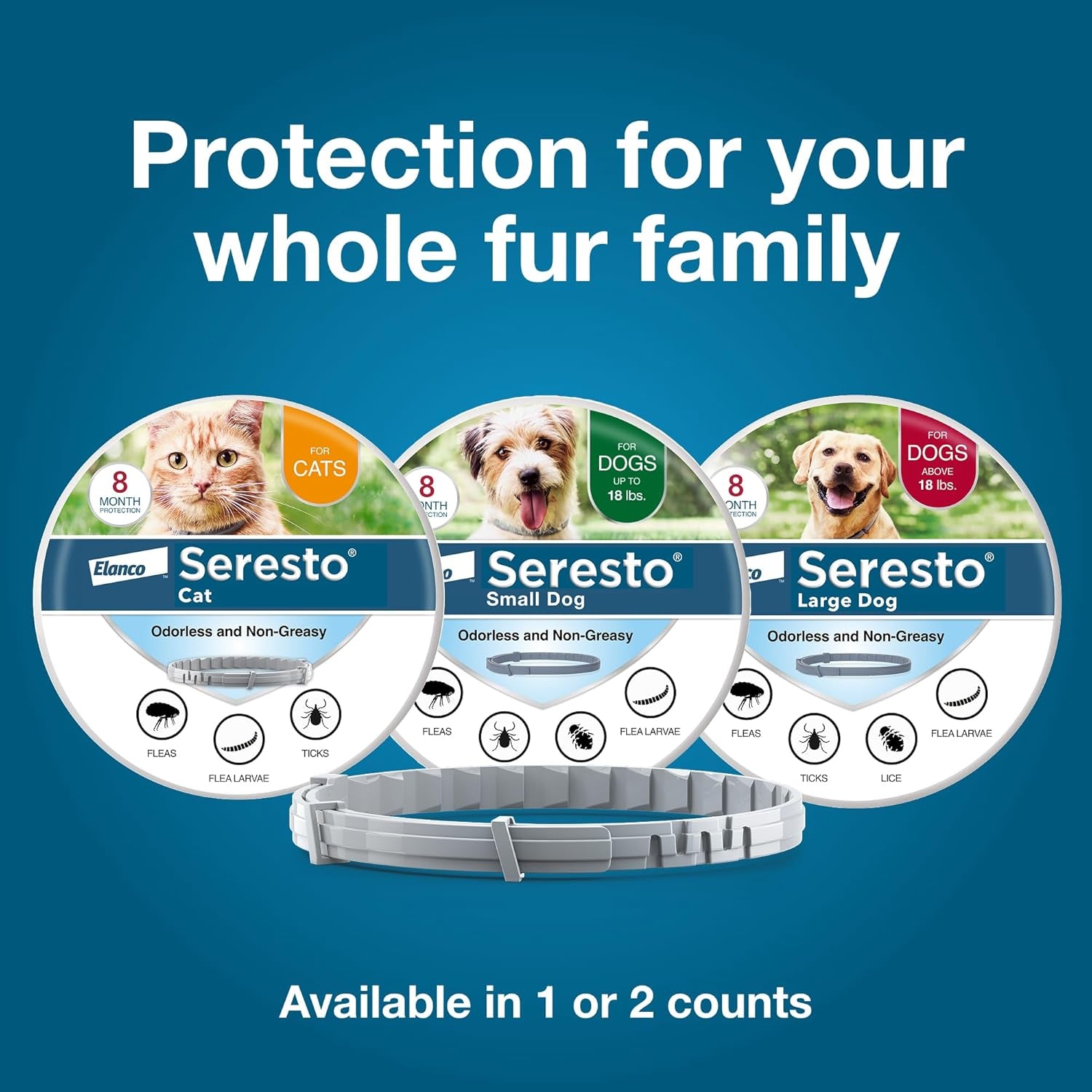Seresto Cat Vet-Recommended Flea & Tick Treatment & Prevention Collar for Cats | 8 Months Protection