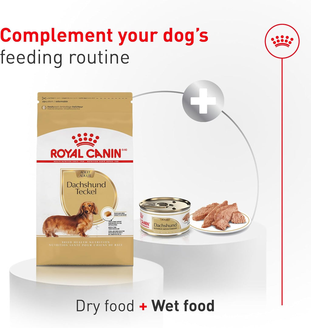 Royal Canin Breed Health Nutrition Dachshund Adult Dry Dog Food, 2.5 Lb Bag