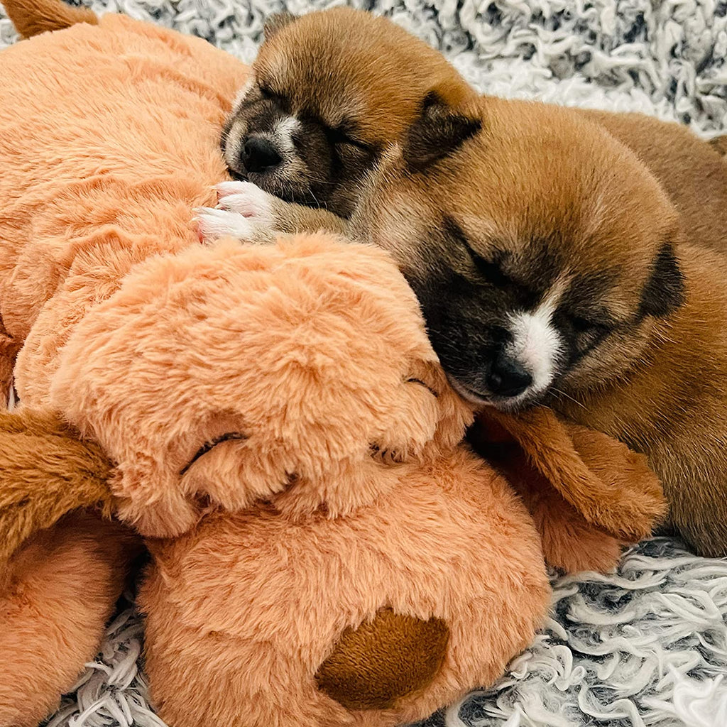 Original Heartbeat Puppy Toy with Real-Feel Pulse & Heat Pack, Calming Sleep Aid for Puppy Anxiety, Crate Training, First Nights & New Puppy Transition - Biscuit