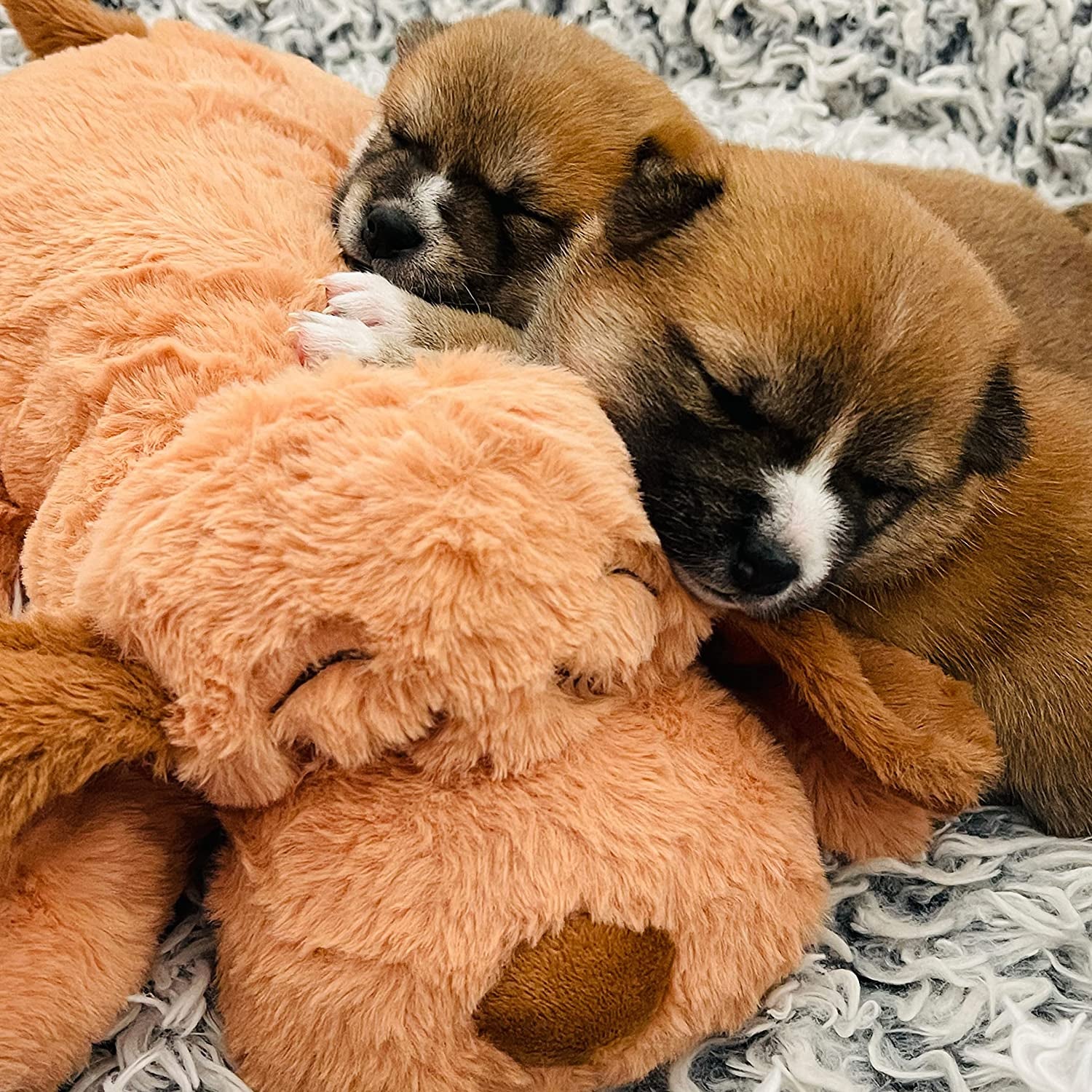 Original Heartbeat Puppy Toy with Real-Feel Pulse & Heat Pack, Calming Sleep Aid for Puppy Anxiety, Crate Training, First Nights & New Puppy Transition - Biscuit