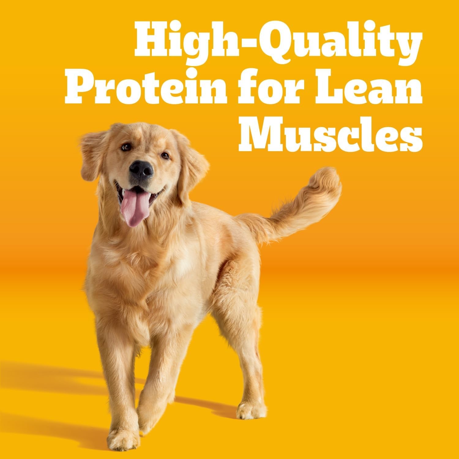 Pedigree Adult Dry Dog Food, Complete Nutrition, Grilled Steak & Vegetable Flavor, 18 Lb. Bag