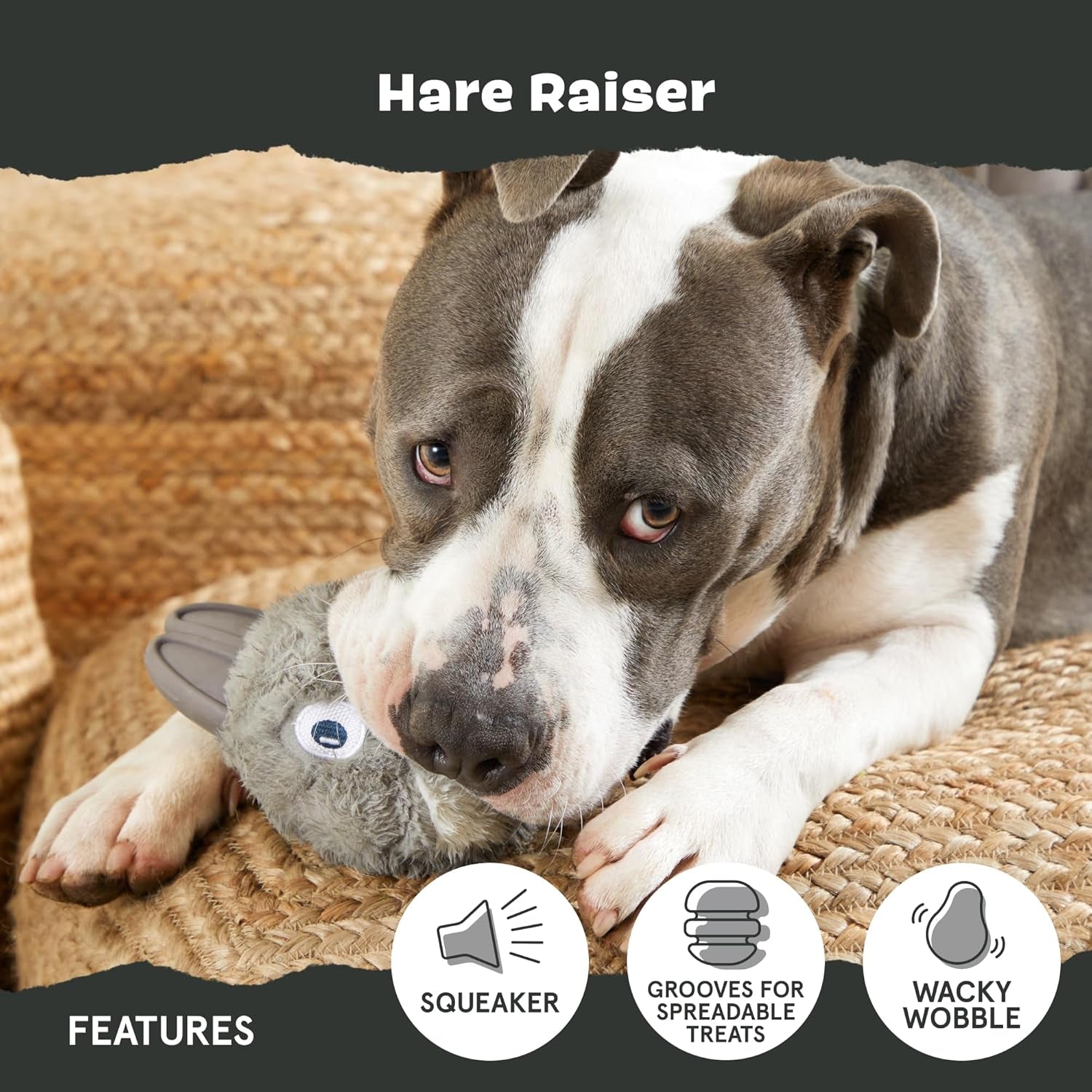 Super Chewer Tough Dog Chew Toys for Aggressive Chewers, Plush 2 Toys in 1 (Hare Raiser - Large)