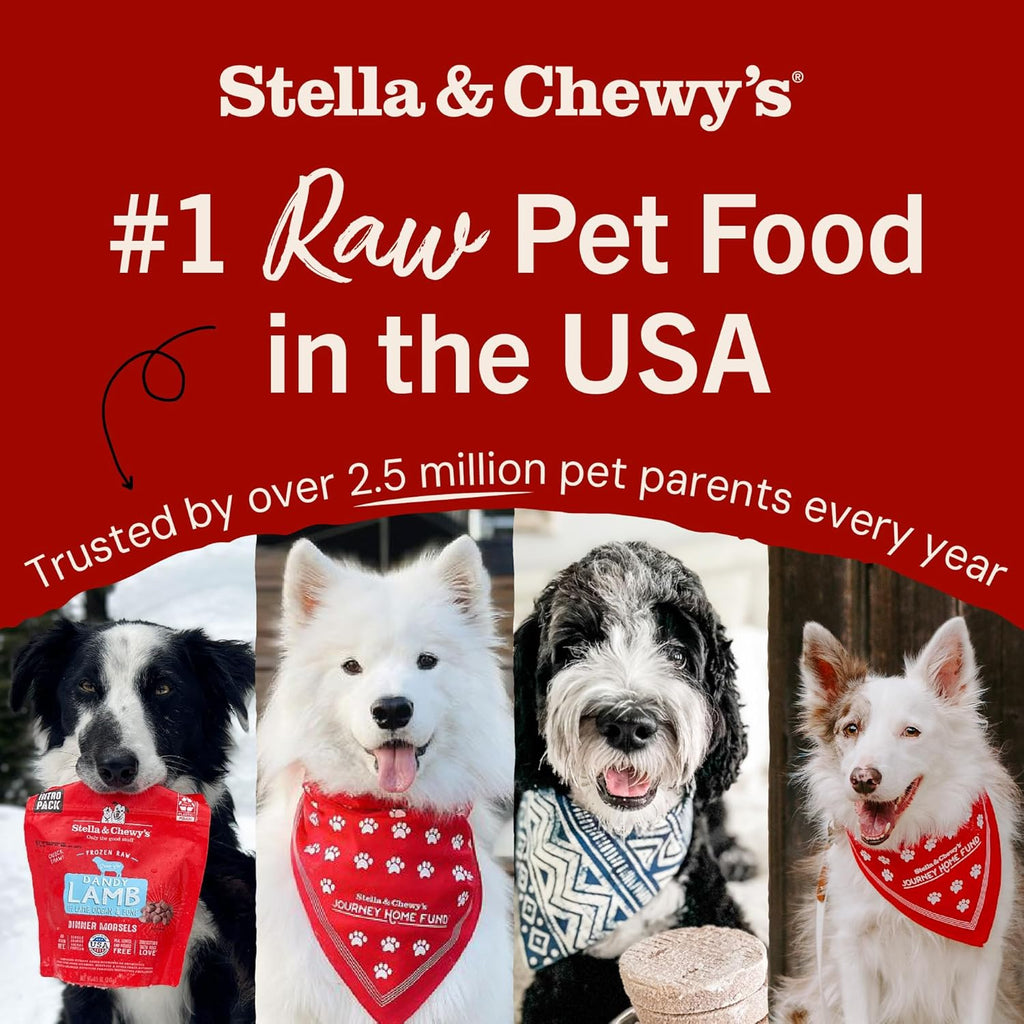 Freeze-Dried Raw Dinner Patties - Beef Recipe - High Protein Grain-Free Puppy & Dog Food - Perfect for Picky Eaters - 25 Oz