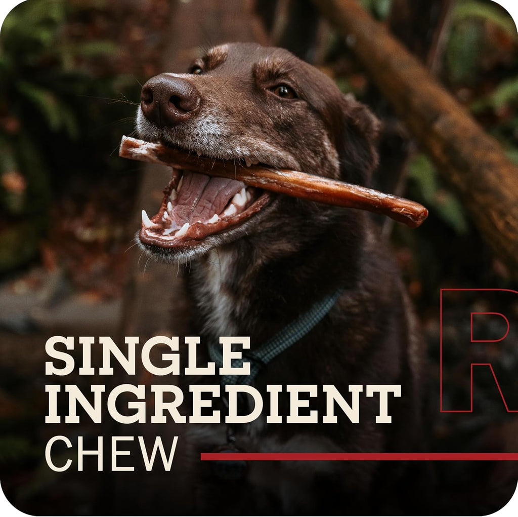 All Natural 5"-8" Braided Bully Sticks for Small & Large Dogs - Healthy Long Lasting Beef Chews Variety Party Pack - Single Ingredient Low Odor Rawhide Free - 8 Oz Bag