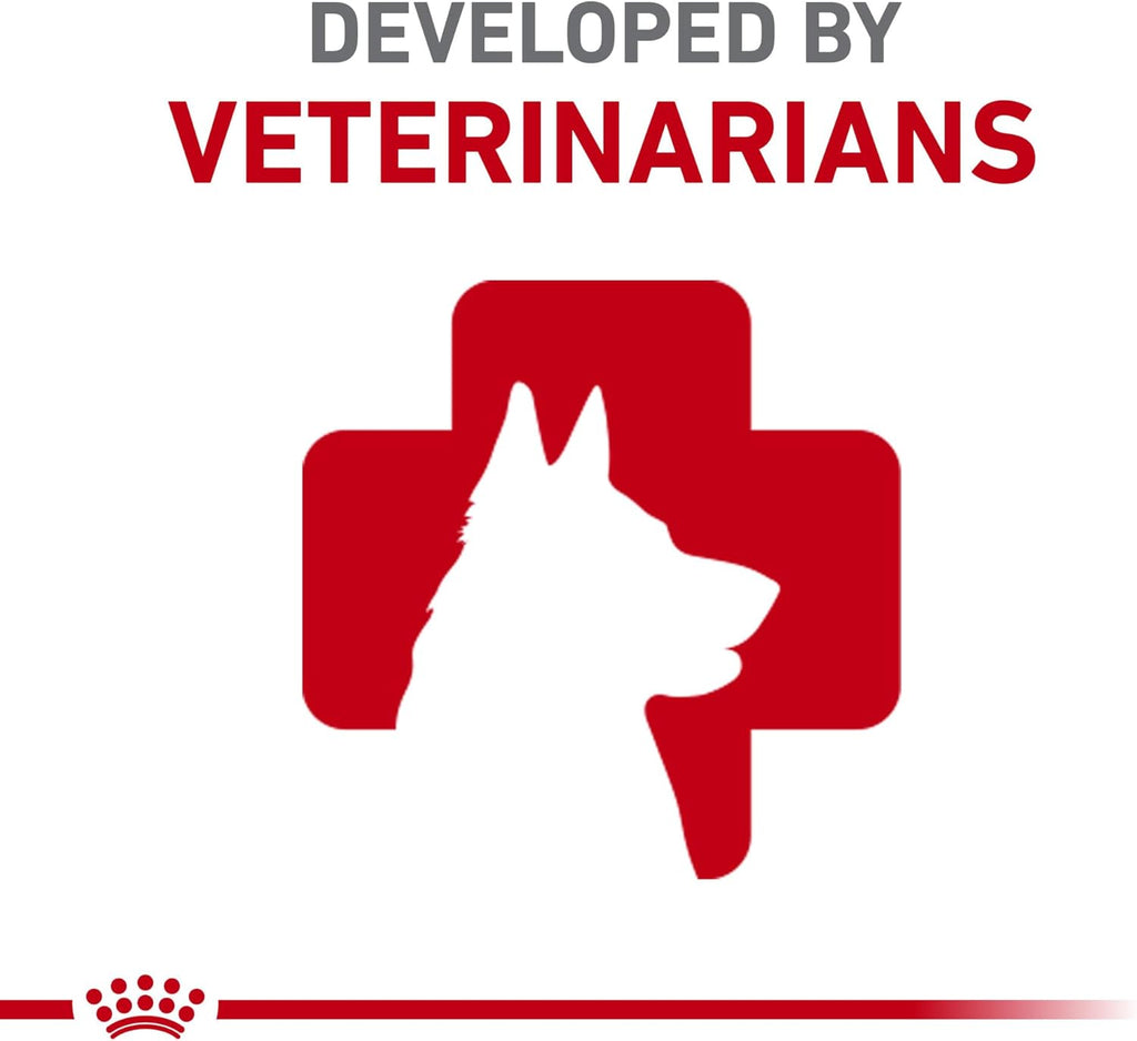 Royal Canin Breed Health Nutrition Dachshund Adult Dry Dog Food, 2.5 Lb Bag