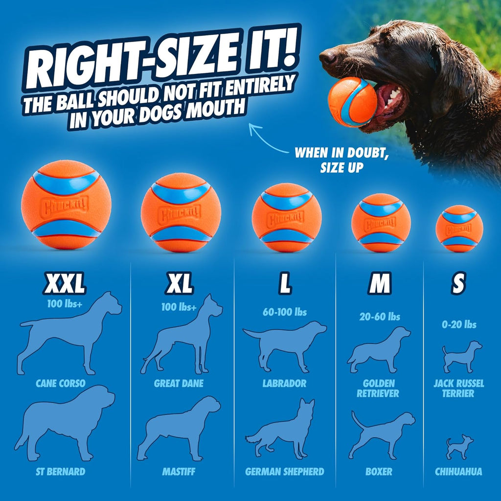 Ultra Ball Dog Toy - Medium Bouncy Fetch Balls for Dogs 20-60 Lbs - Made from Durable Rubber - Floating Water Pet Toys - Size Medium - 2.5-Inch Diameter - Pack of 2