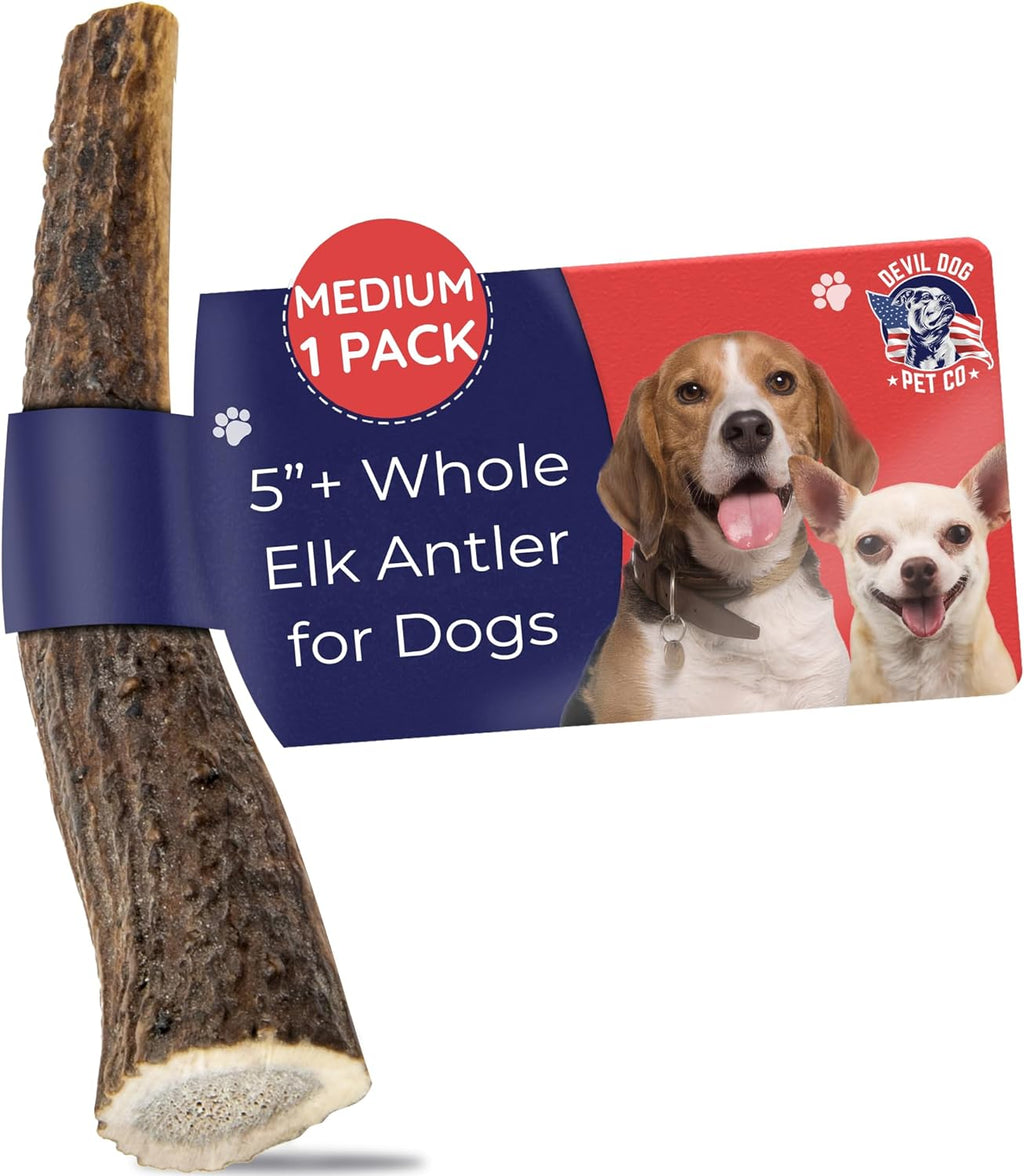. Elk Antlers for Dogs, Natural Dog Chew for Aggressive Chewers - Long Lasting and Odor Free - USA Sourced - Cleaner Teeth, Anxiety & Boredom Relief - Whole Medium 5"+ - Antler Bone