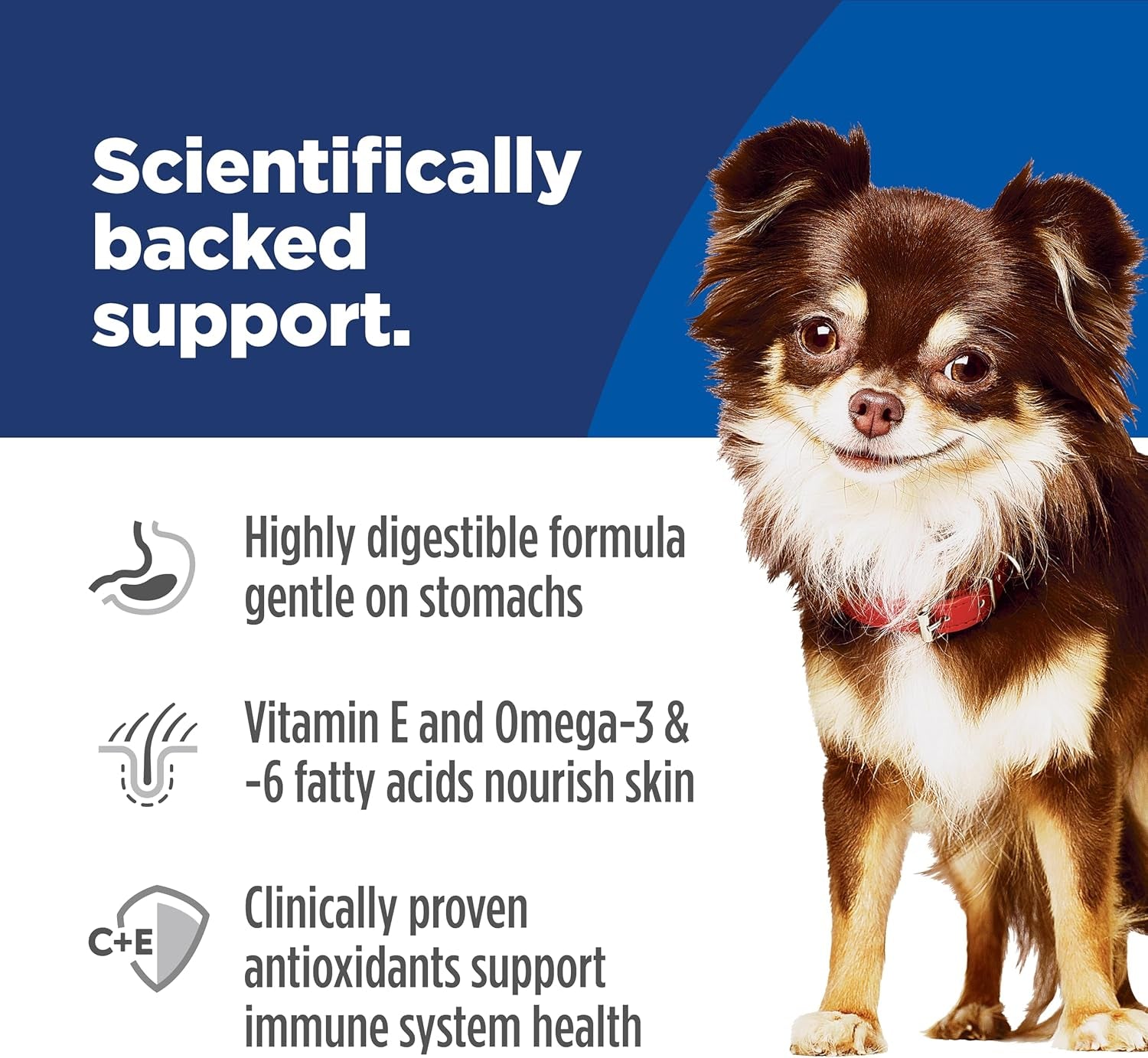 Hill'S Science Diet Adult Sensitive Stomach & Skin Small & Mini Dry Dog Food, Chicken, 4 Lb. Bag (Updated Formula)