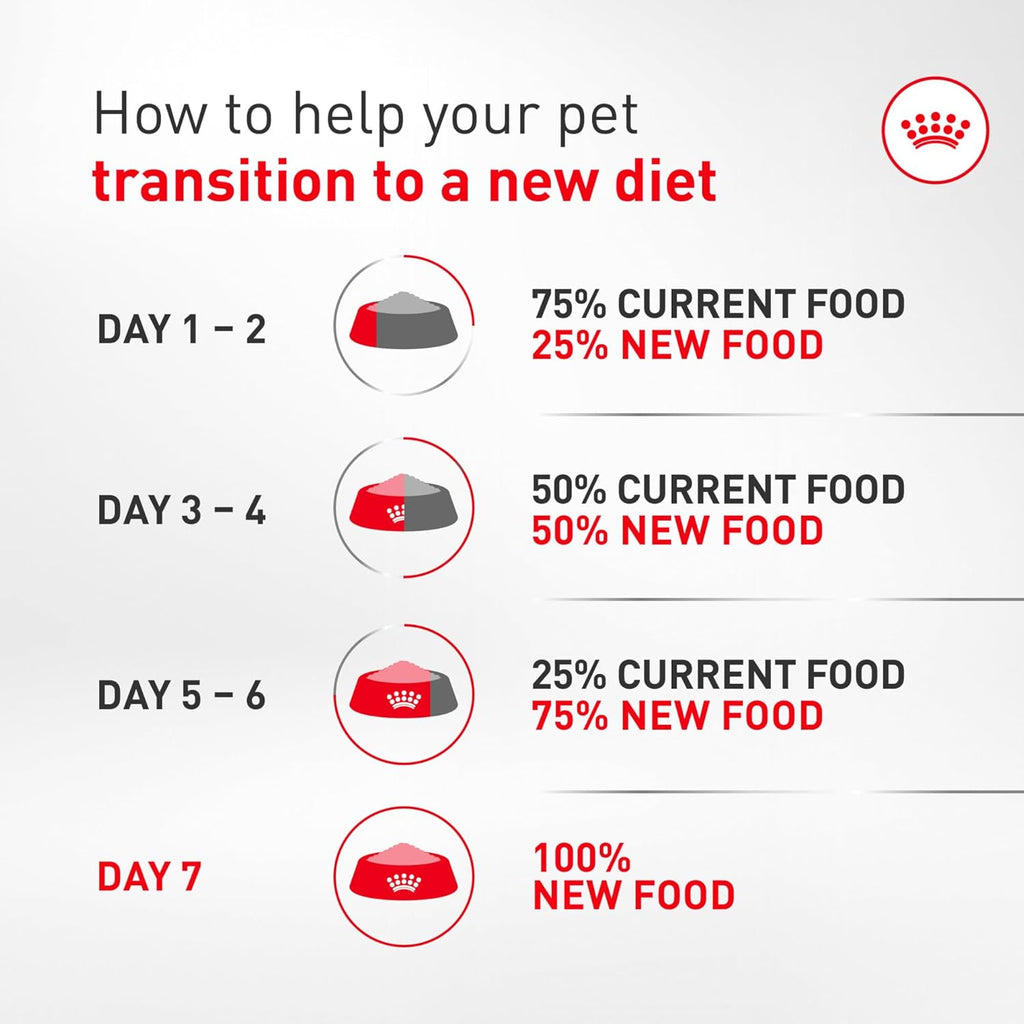 Royal Canin Breed Health Nutrition Dachshund Adult Dry Dog Food, 2.5 Lb Bag