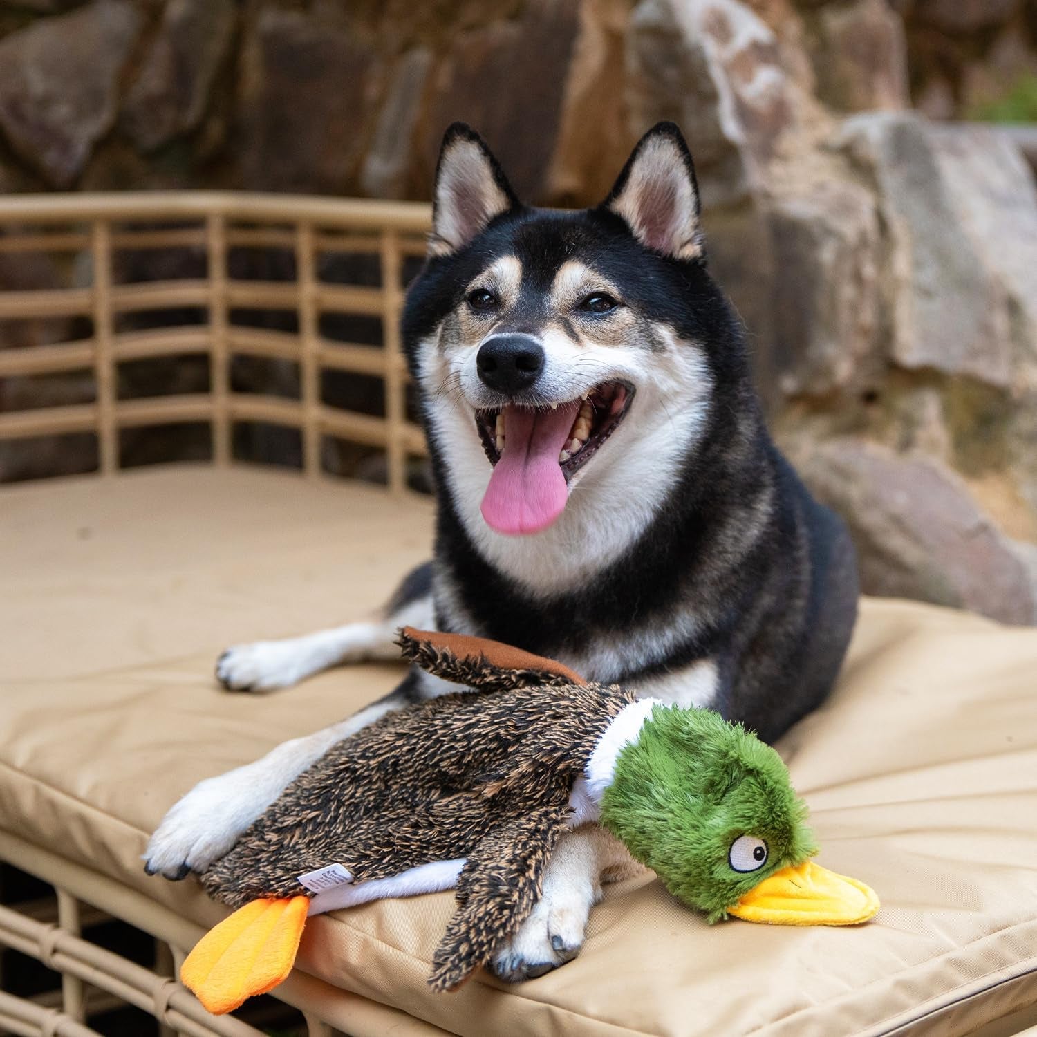 Squeaky Dog Toys with Soft Durable Fabric for Small, Medium and Large Pets Interactive Toy for Indoor Play, Supports Active Biting and Play - 1Wild Duck, Small