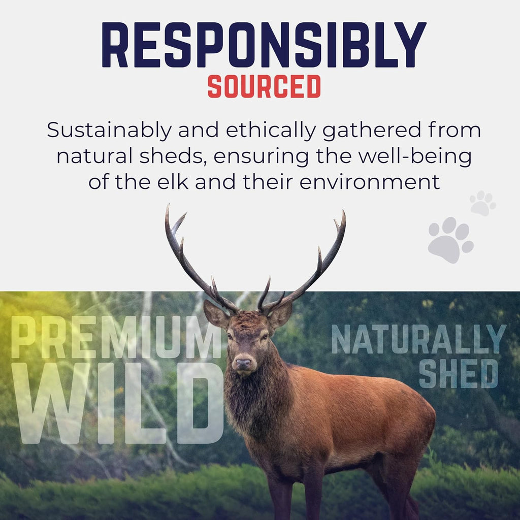 . Elk Antlers for Dogs, Natural Dog Chew for Aggressive Chewers - Long Lasting and Odor Free - USA Sourced - Cleaner Teeth, Anxiety & Boredom Relief - Whole Medium 5"+ - Antler Bone