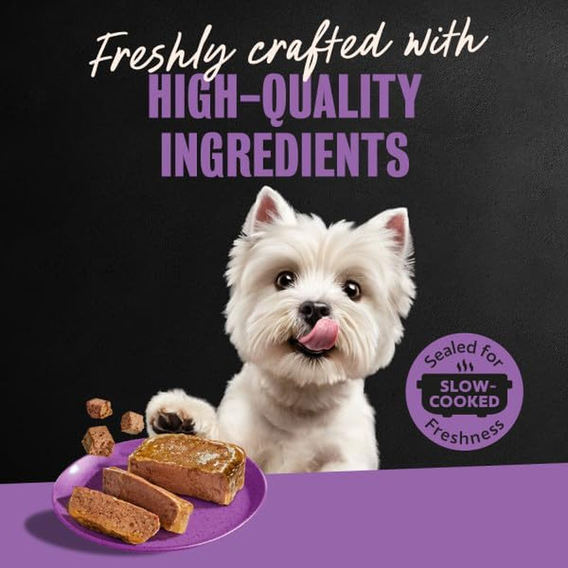 Classic Loaf in Sauce Wet Dog Food, Beef Recipe, Filet Mignon Flavor, Grilled Chicken Flavor, and Porterhouse Steak Flavor, 3.5 Oz. Easy Peel Trays, Variety Pack (24 Count, Pack of 1)