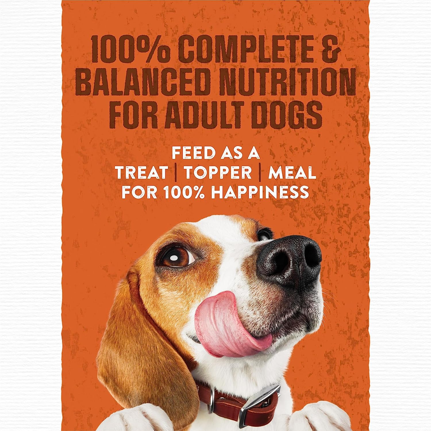 Purina Moist and Meaty Burger with Cheddar Cheese Flavor Dry Soft Dog Food Pouches - 36 Ct. Pouch