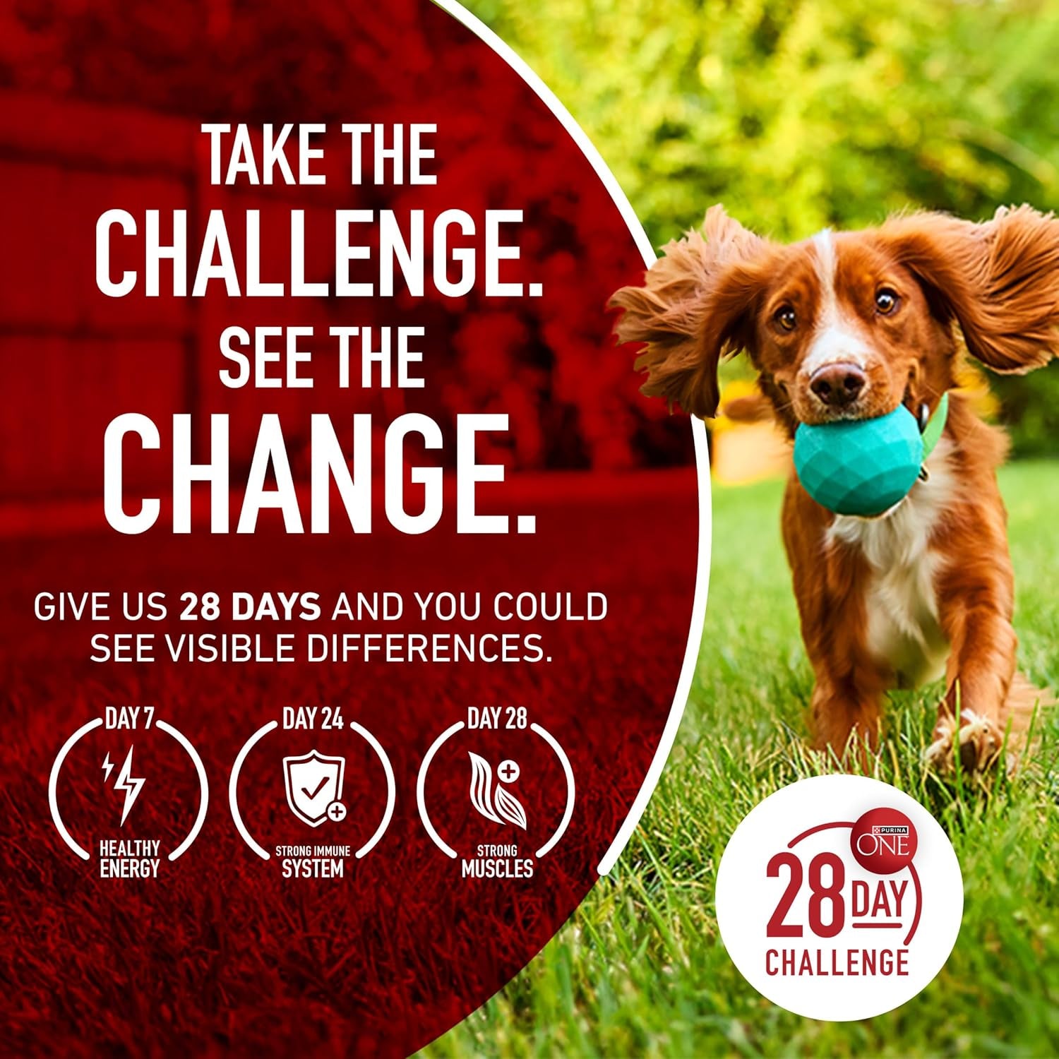 True Instinct with a Blend of Real Turkey and Venison Dry Dog Food - 7.4 Lb. Bag