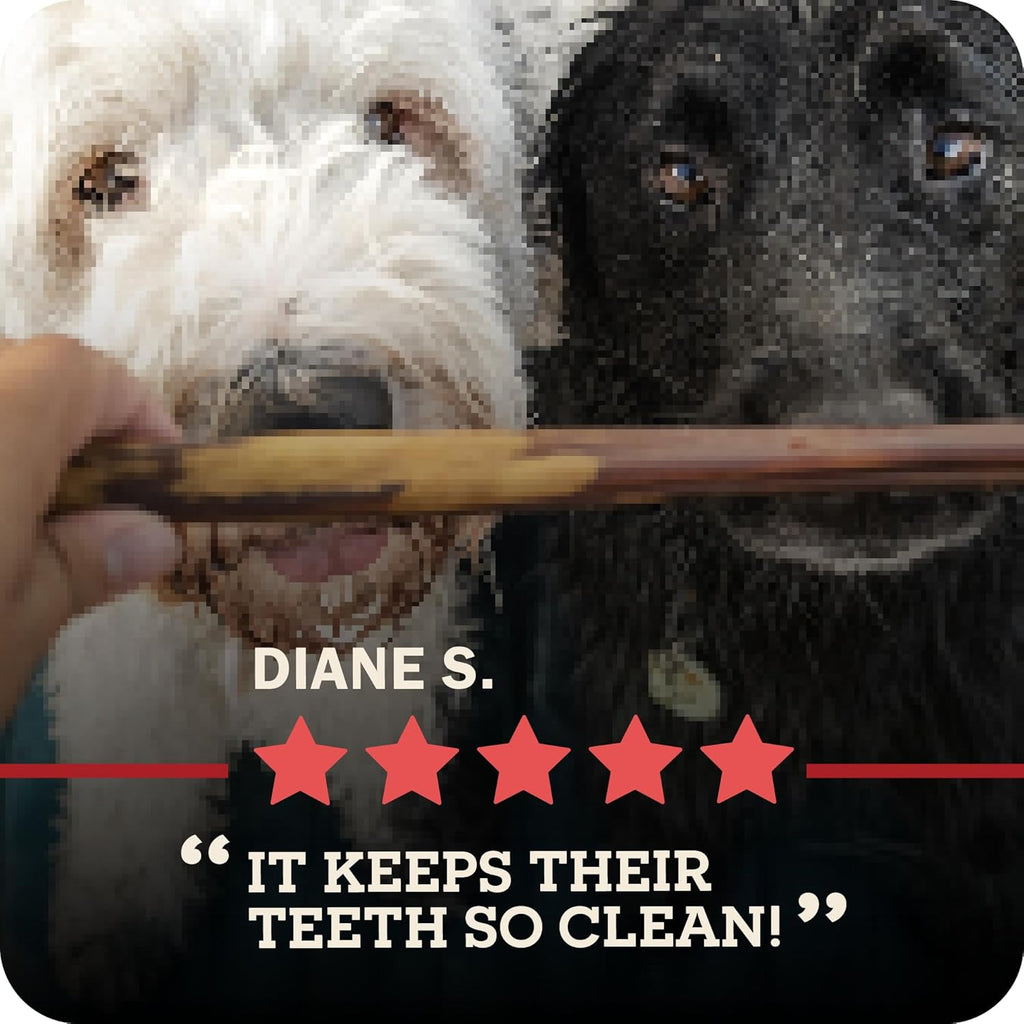 All Natural 5"-8" Braided Bully Sticks for Small & Large Dogs - Healthy Long Lasting Beef Chews Variety Party Pack - Single Ingredient Low Odor Rawhide Free - 8 Oz Bag