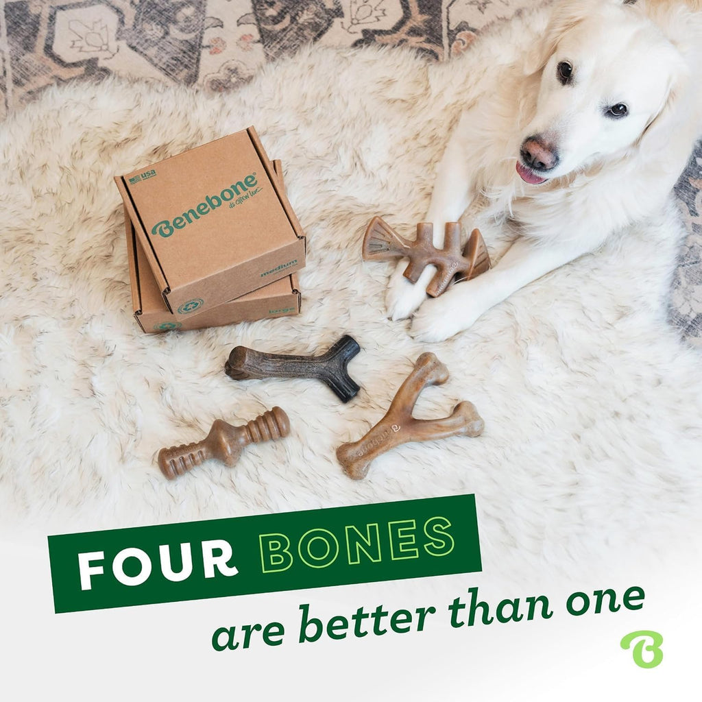 Medium 4-Pack Dog Toys for Aggressive Chewers – Durable Dog Bones, Made in USA – Dog Toys for Medium Dogs under 60 Lbs