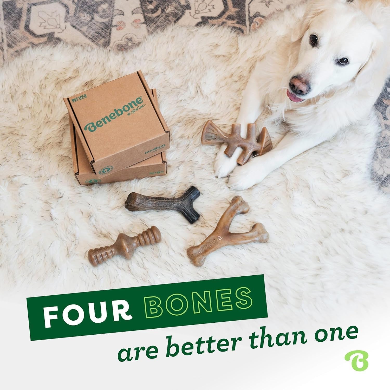 Medium 4-Pack Dog Toys for Aggressive Chewers – Durable Dog Bones, Made in USA – Dog Toys for Medium Dogs under 60 Lbs