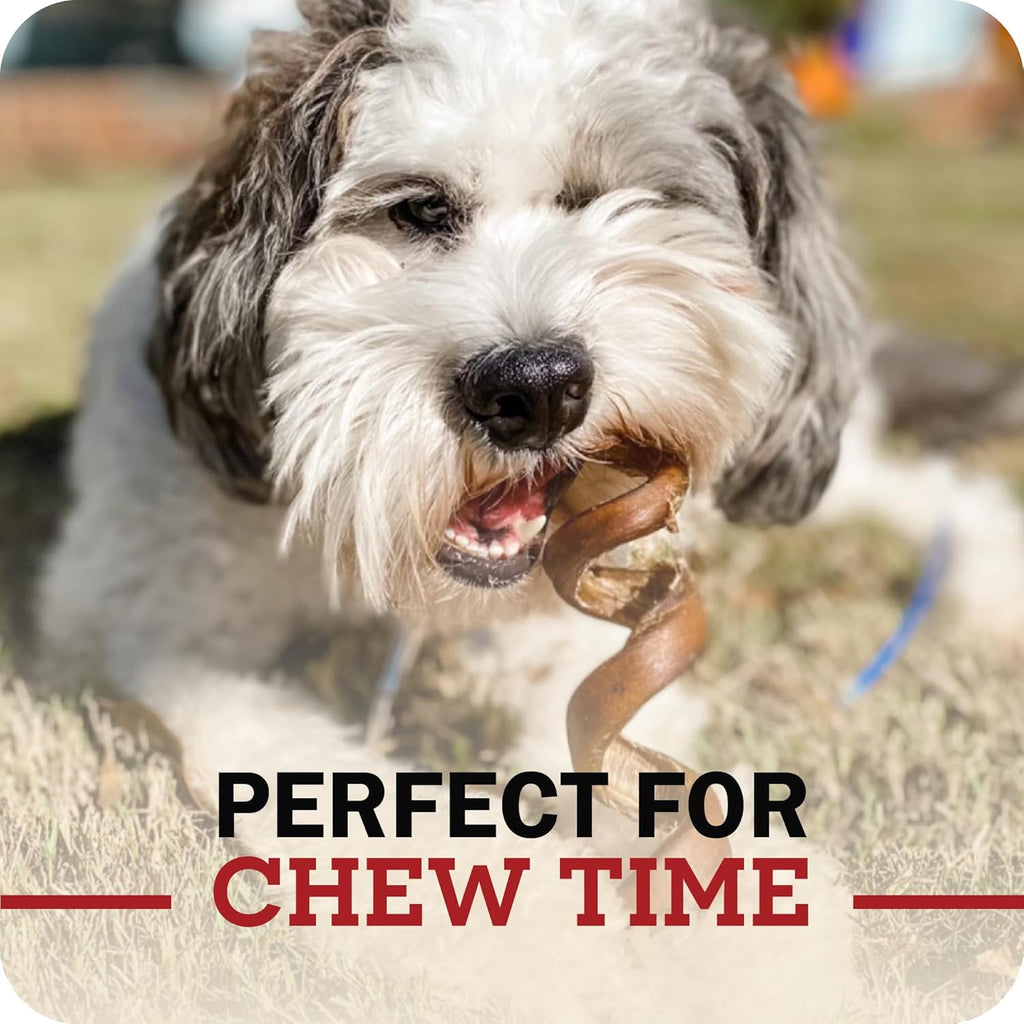 All Natural 5"-8" Braided Bully Sticks for Small & Large Dogs - Healthy Long Lasting Beef Chews Variety Party Pack - Single Ingredient Low Odor Rawhide Free - 8 Oz Bag
