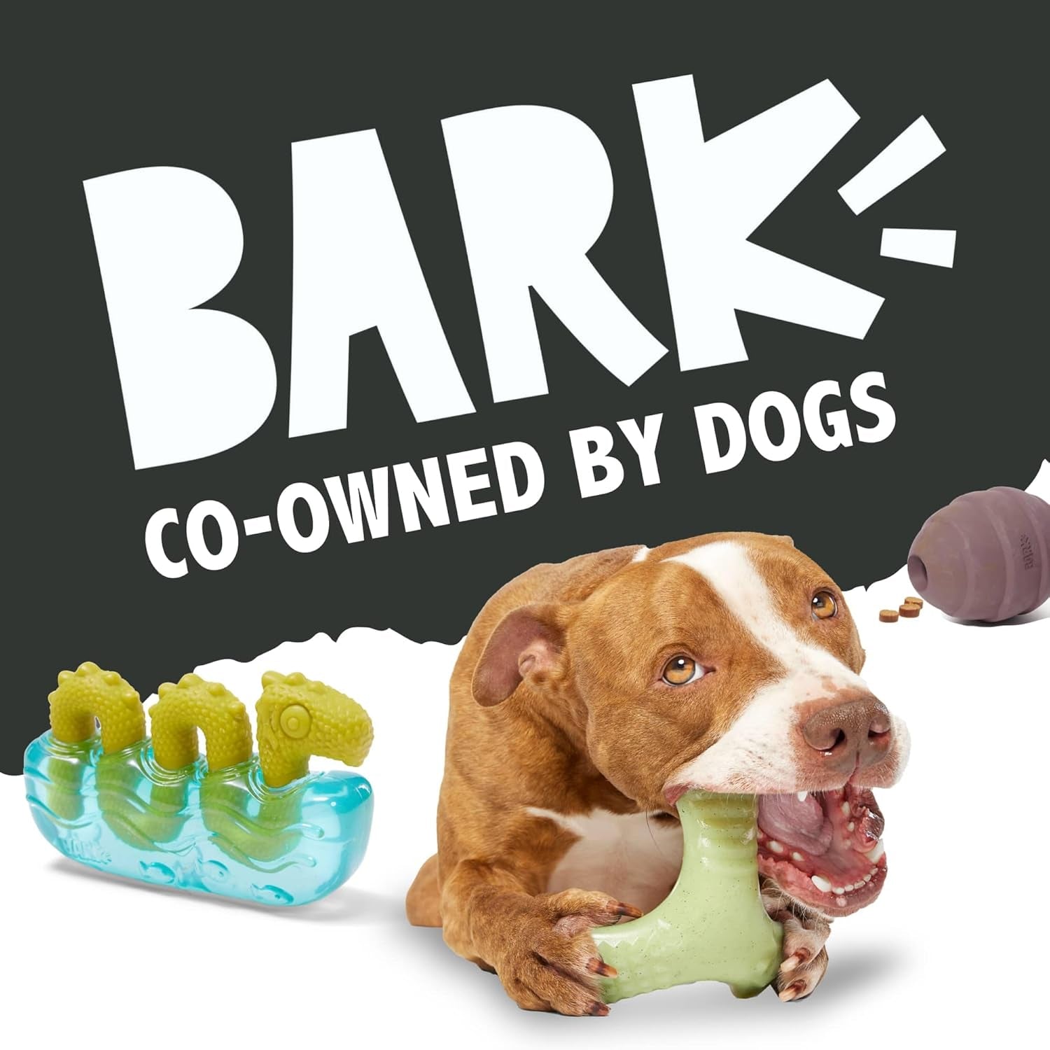 Super Chewer Tough Dog Chew Toys for Aggressive Chewers, Plush 2 Toys in 1 (Hare Raiser - Large)