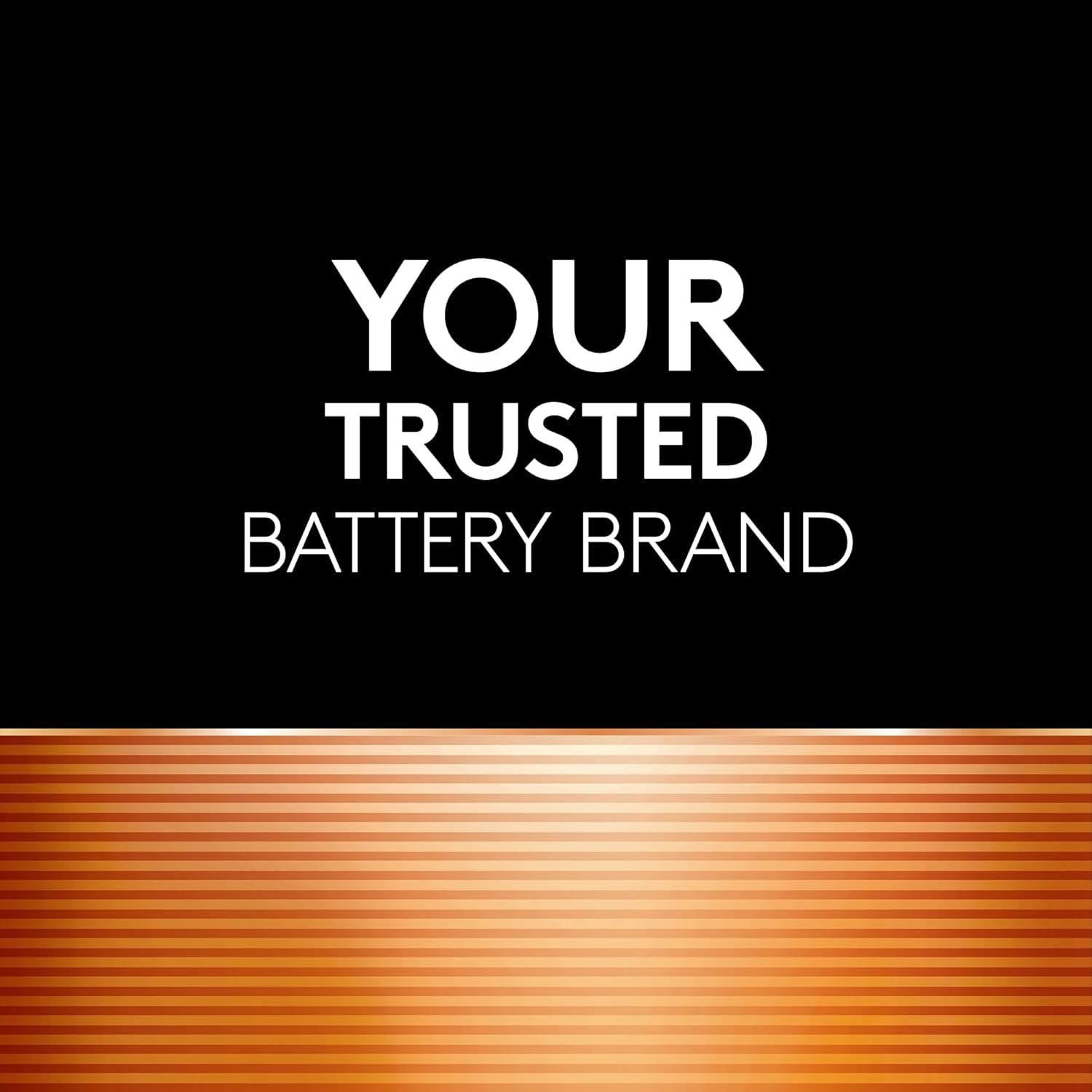 Coppertop AA + AAA Batteries, 56 Count (Pack of 1), Re-Closable for Quick Access and Organized Storage, Includes 28 Double a and 28 Triple a Batteries