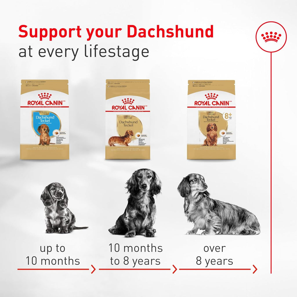 Royal Canin Breed Health Nutrition Dachshund Adult Dry Dog Food, 2.5 Lb Bag