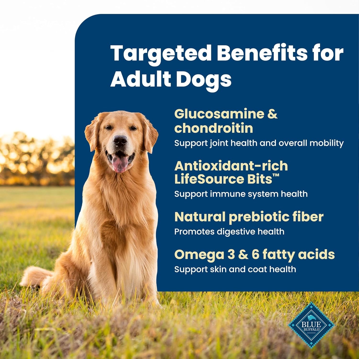 Life Protection Formula Adult Dry Dog Food, Helps Build and Maintain Strong Muscles, Made with Natural Ingredients, Chicken & Brown Rice Recipe, 5-Lb. Bag