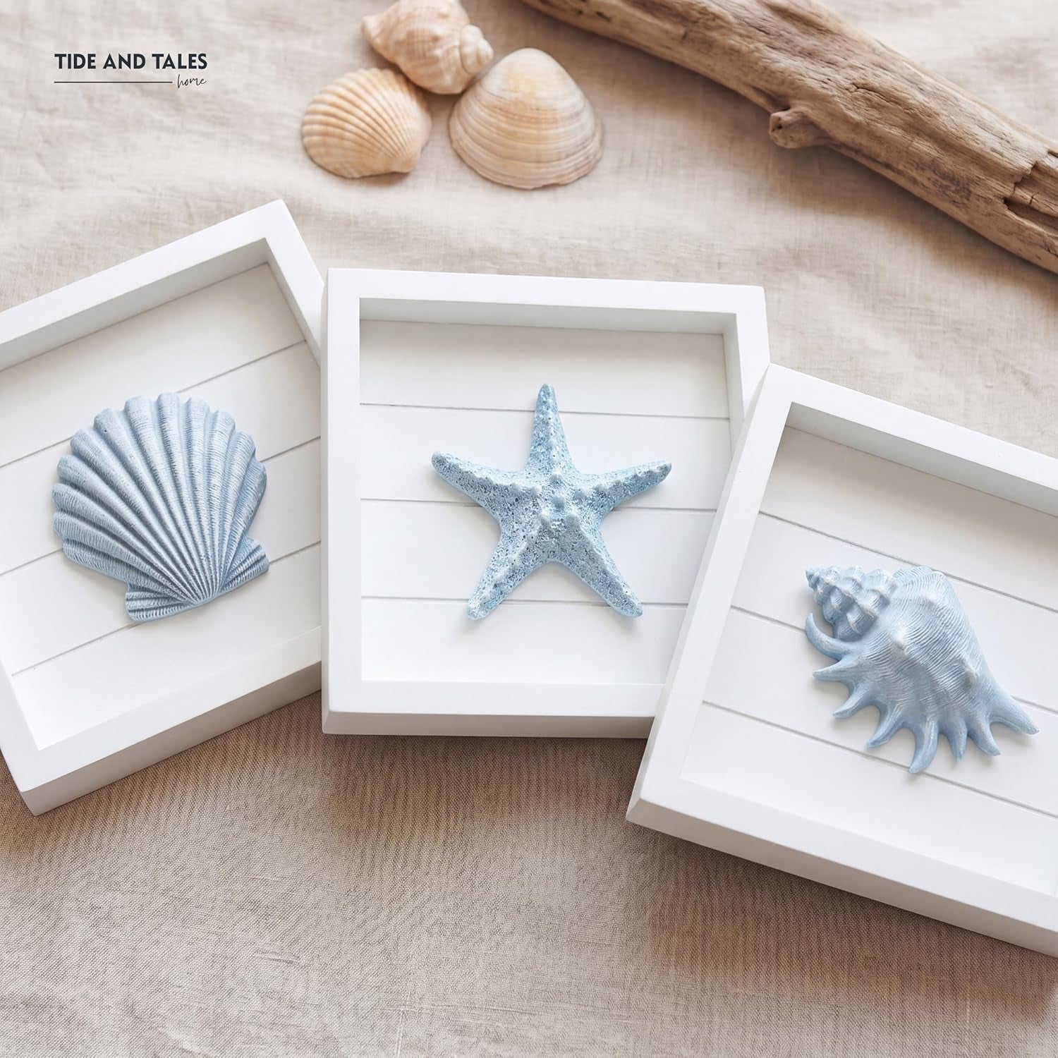 Tideandtales Blue Seashells and Starfish (Framed Set of 3) Coastal 3D Wall Art, Beach Wall Decor for Bathroom or Coastal Bedroom, Ocean Inspired Seaside Decorations for Home or Beach House (7"X7")