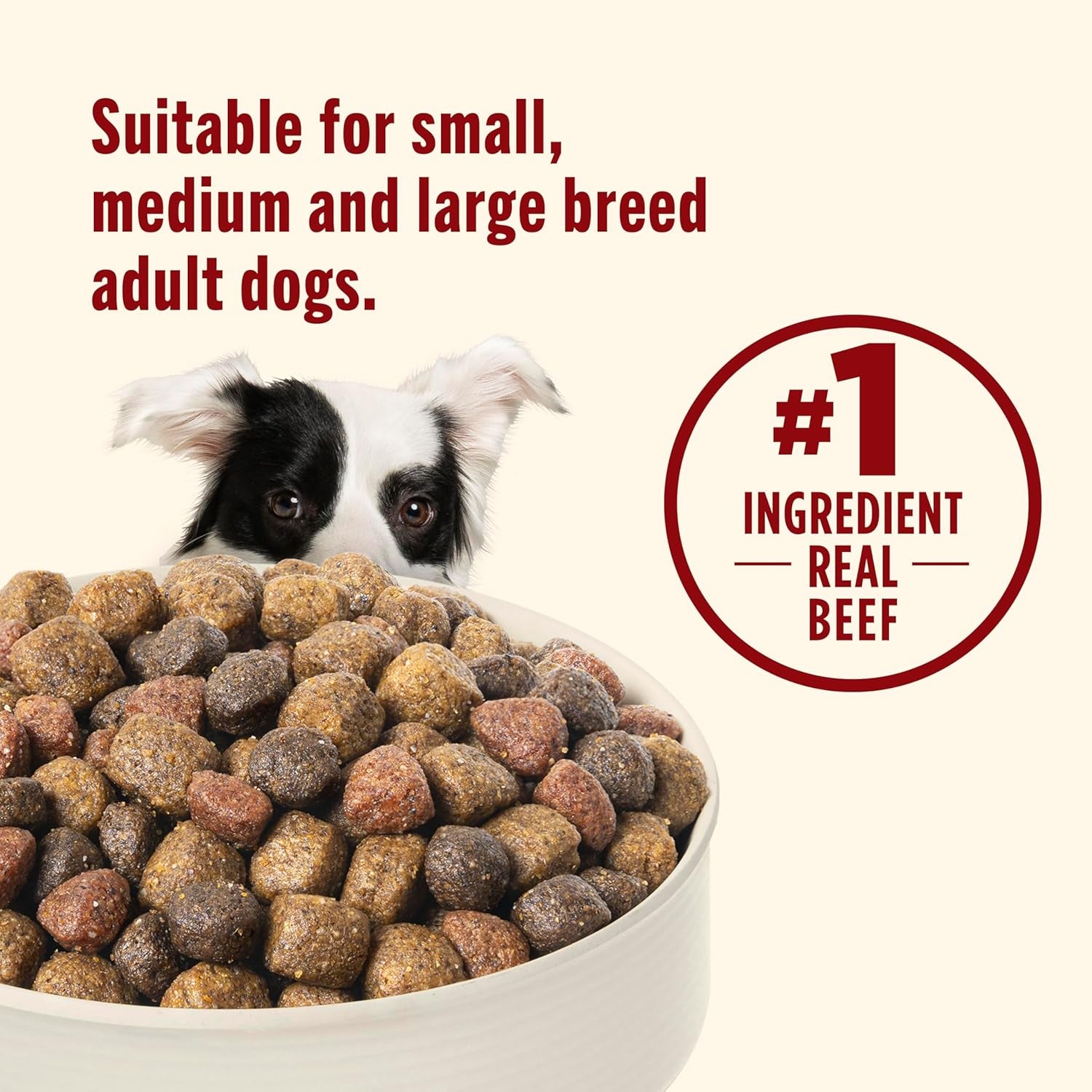 Dry Dog Food, Real Beef, Pea & Brown Rice Recipe Whole Health Blend for Adult Dogs, 28 Lb. Bag, Packaging May Vary (Rachael Ray)