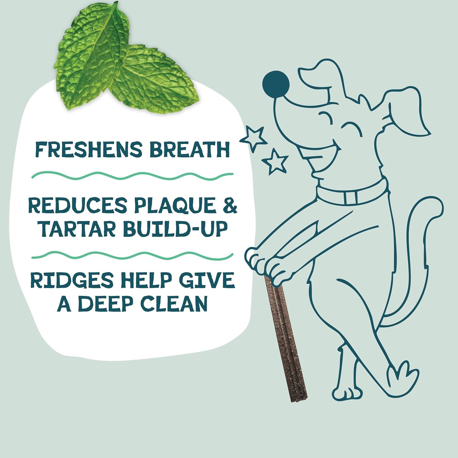 Blueberry & Mint Dental Chews for Dogs, 8 Chews - Natural Dog Teeth Cleaning Treats with Fresh Breath Benefits | Grain-Free Dental Sticks for Small, Medium & Large Dogs