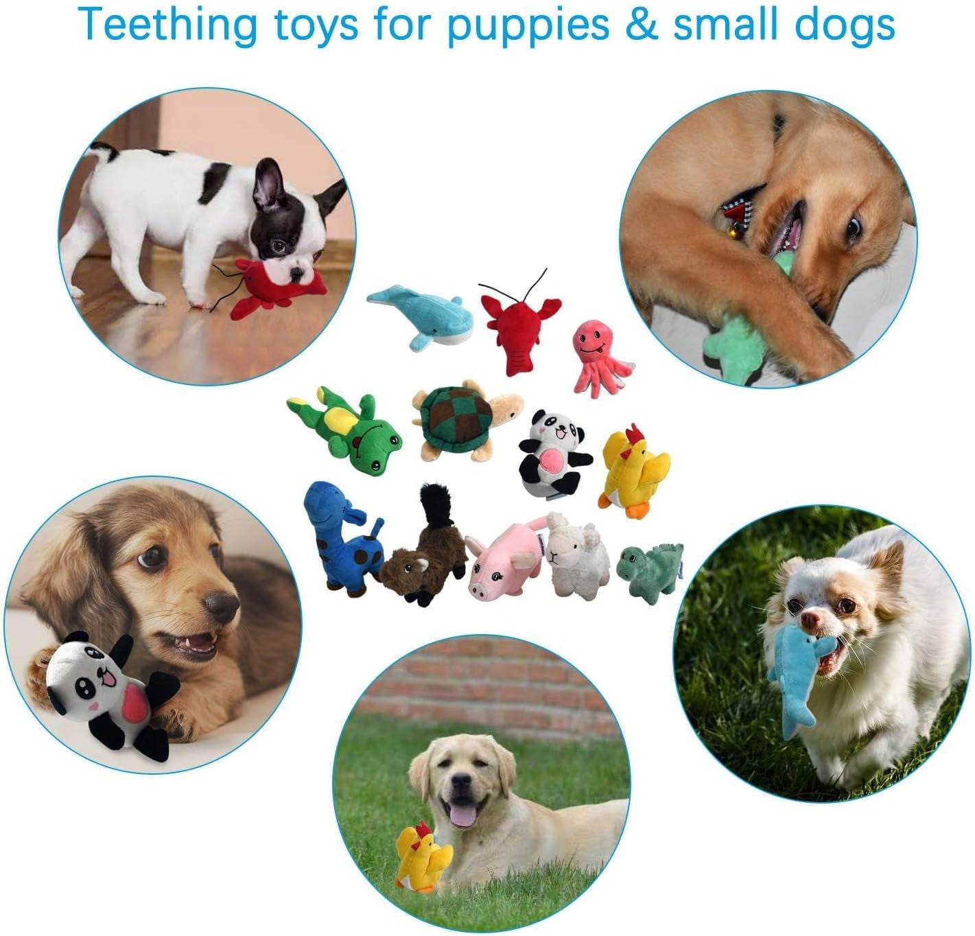 Squeaky Plush Dog Toy Pack for Puppy, Small Stuffed Puppy Chew Toys 12 Dog Toys Bulk with Squeakers, Cute Soft Pet Toy for Small Medium Size Dogs