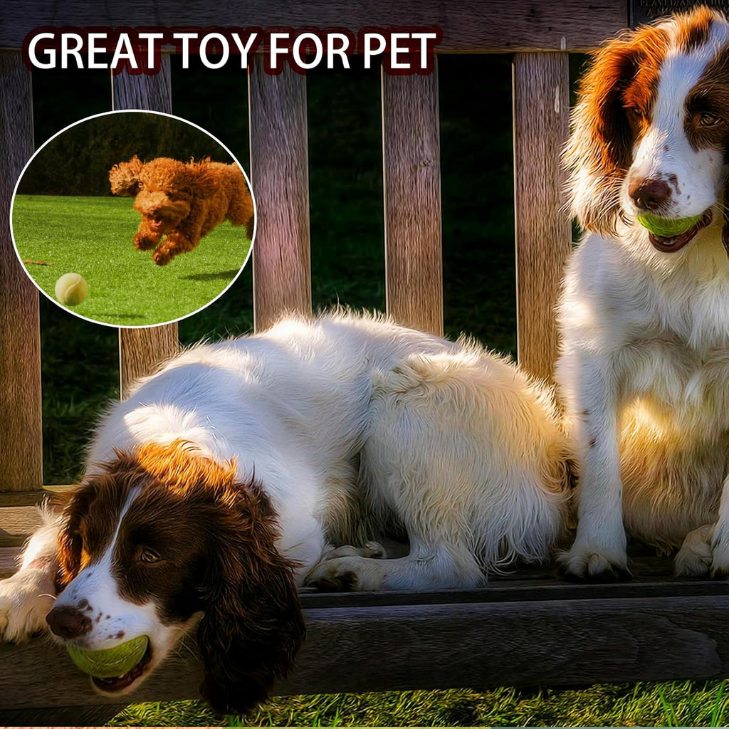Tennis Balls, 40 Pack Training Tennis Balls,High Elasticity Practice Tennis for Beginner, Exercise Playing Balls for Pet Dog