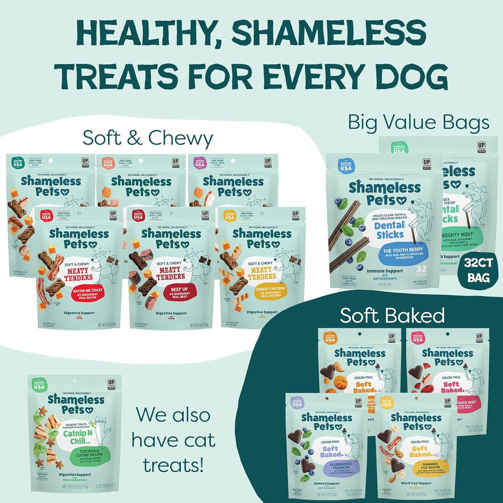 Blueberry & Mint Dental Chews for Dogs, 8 Chews - Natural Dog Teeth Cleaning Treats with Fresh Breath Benefits | Grain-Free Dental Sticks for Small, Medium & Large Dogs