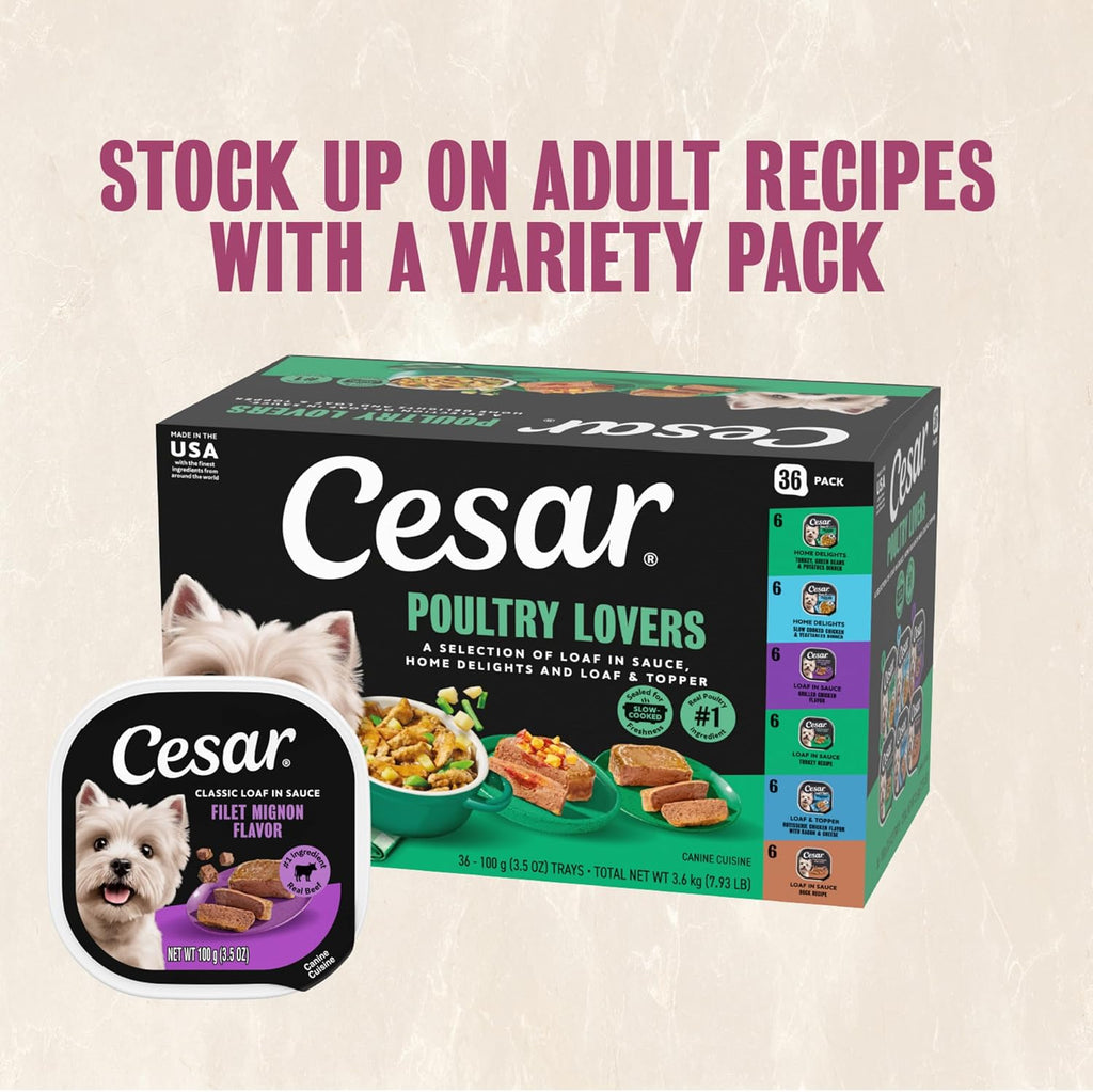 Adult Wet Dog Food Steak Lovers Variety Pack with Real Meat, 3.5 Oz. Easy Peel Trays, 36 Count (Pack of 1)