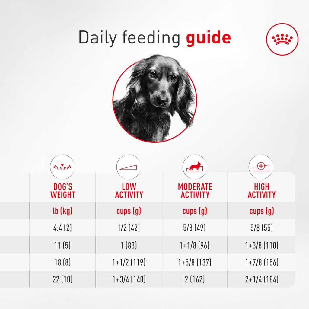 Royal Canin Breed Health Nutrition Dachshund Adult Dry Dog Food, 2.5 Lb Bag