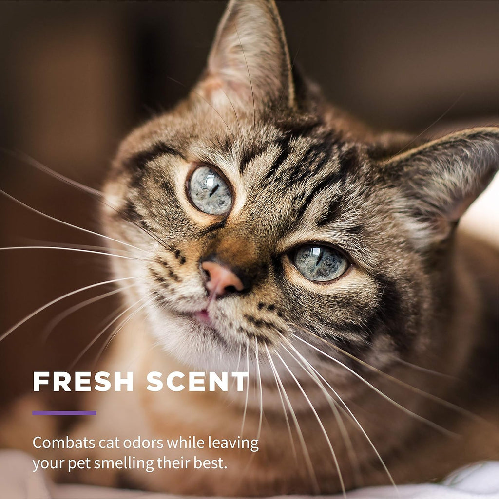 for Cats Freshening Wipes, Multi-Purpose Cat Grooming Wipes with Aloe Vera, Helps Remove Dirt, Odor, and Dander between Baths, Fresh Scent, 50 Count